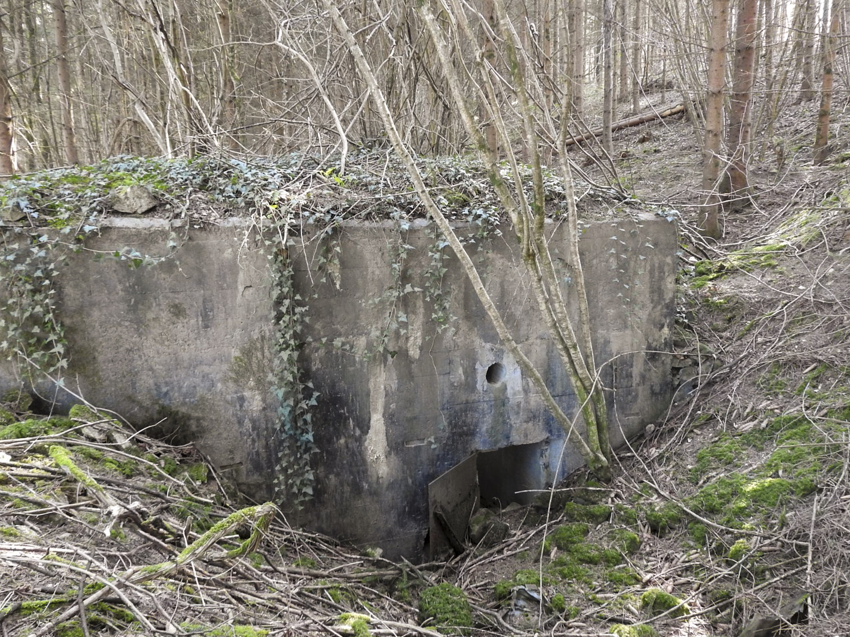 Ligne Maginot - MUEHLENBACH 4 - (Blockhaus pour canon) - L'entrée des hommes.