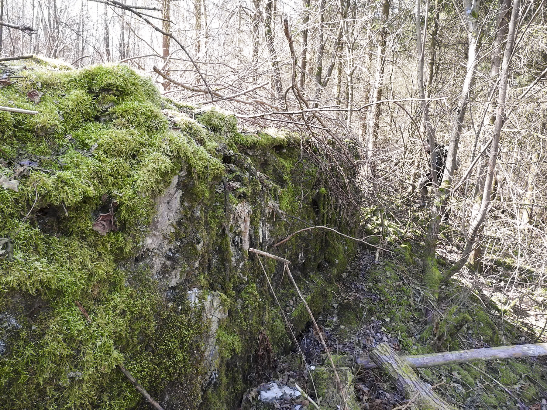 Ligne Maginot - MUEHLENBACH 5 - (Blockhaus pour arme infanterie) - La façade de tir du blockhaus.