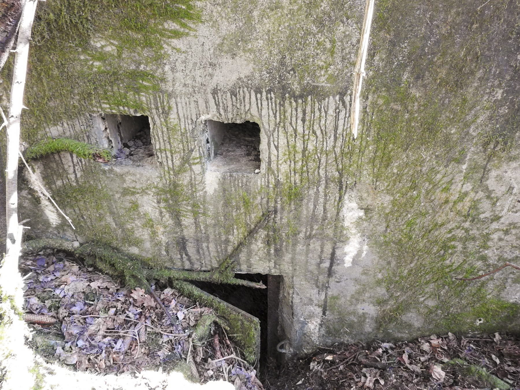 Ligne Maginot - MUEHLENBACH 5 - (Blockhaus pour arme infanterie) - L'entrée du blockhaus.