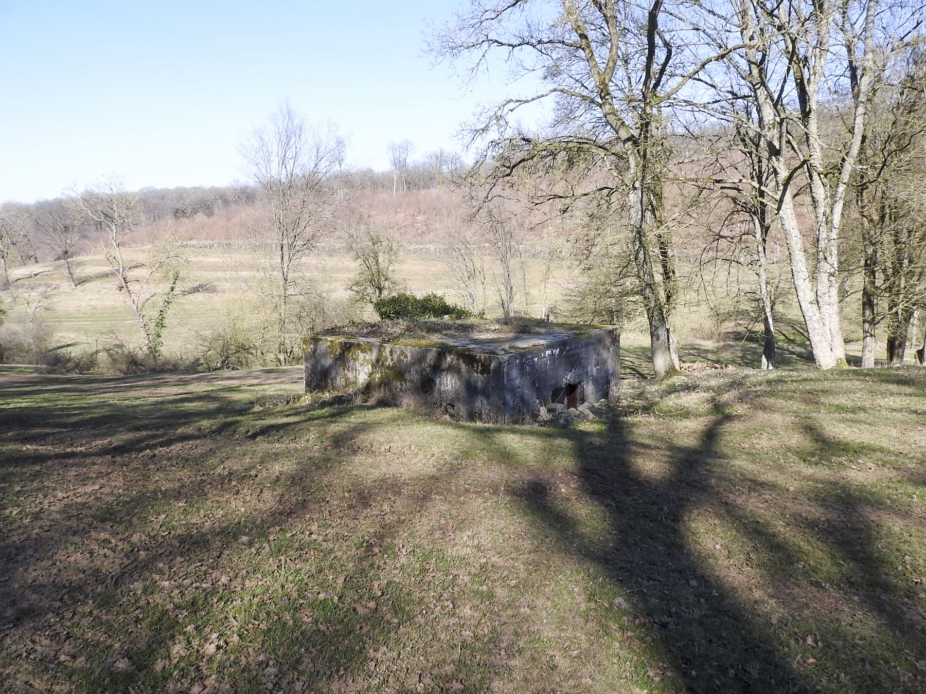 Ligne Maginot - MUEHLENBACH 6 - (Blockhaus pour canon) - Le blockhaus dans son environnement.