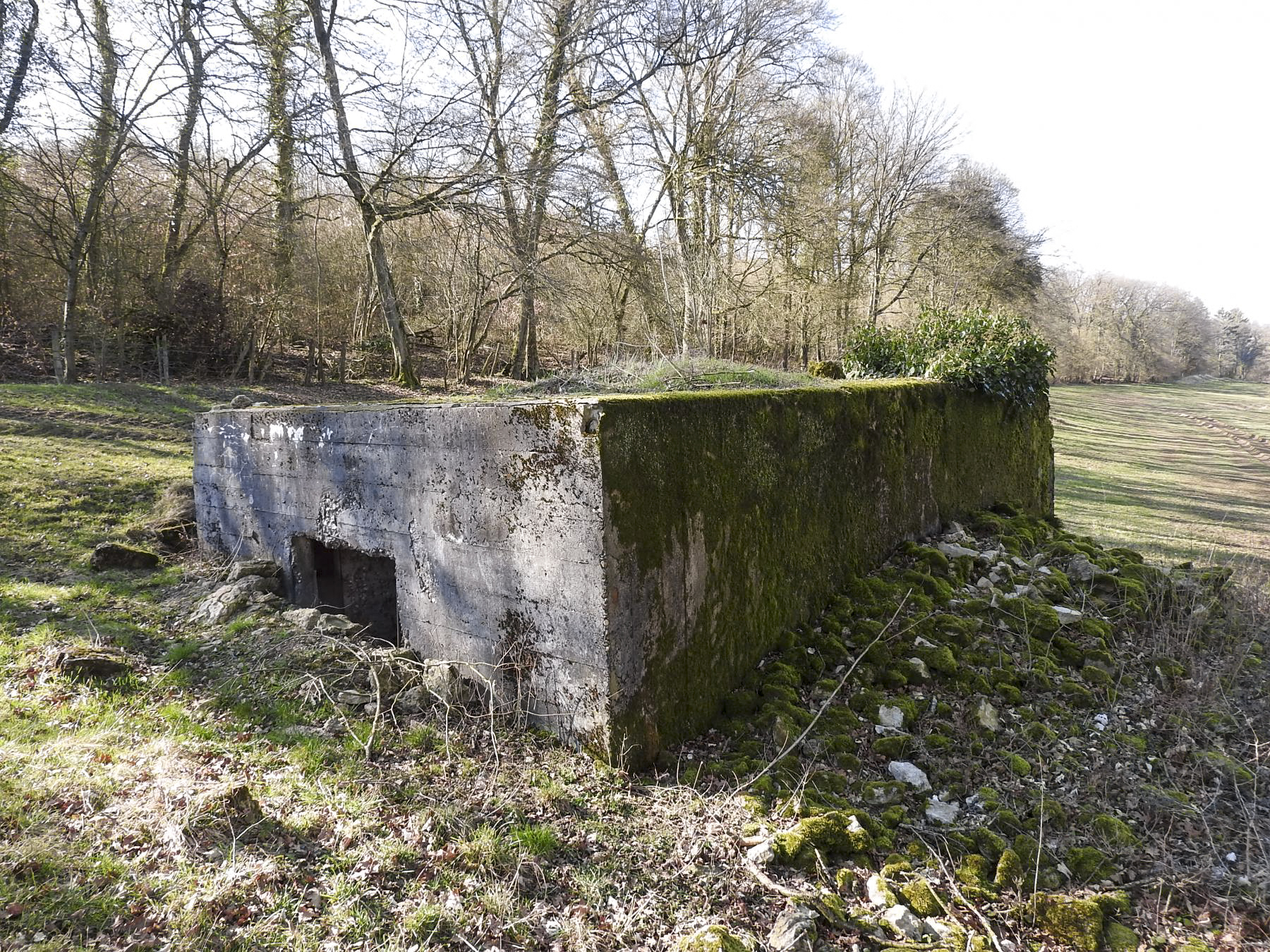 Ligne Maginot - MUEHLENBACH 6 - (Blockhaus pour canon) - La façade arrière et l'entrée du canon.