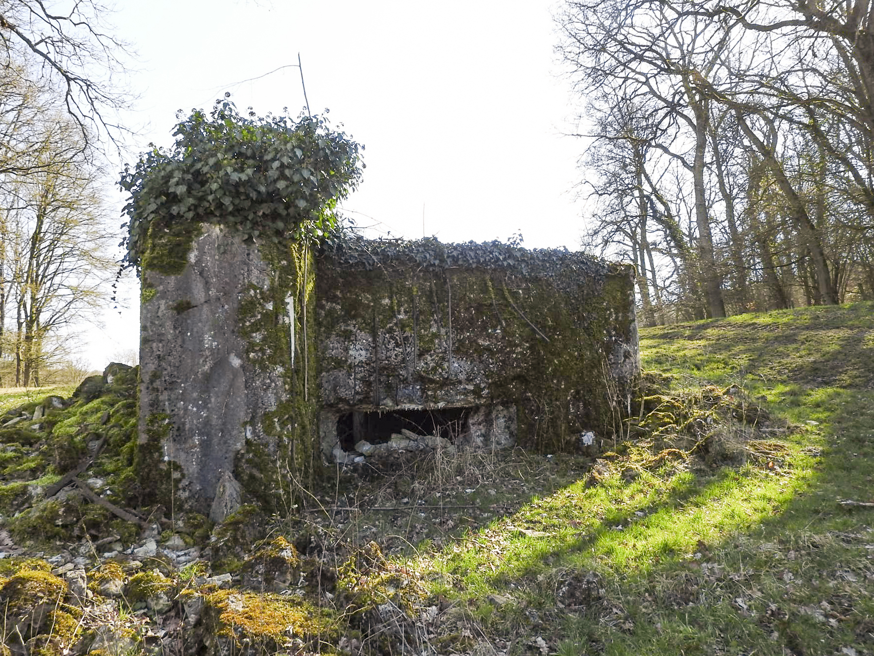 Ligne Maginot - MUEHLENBACH 6 - (Blockhaus pour canon) - La façade de tir vers le vallon du Muehlenbach.