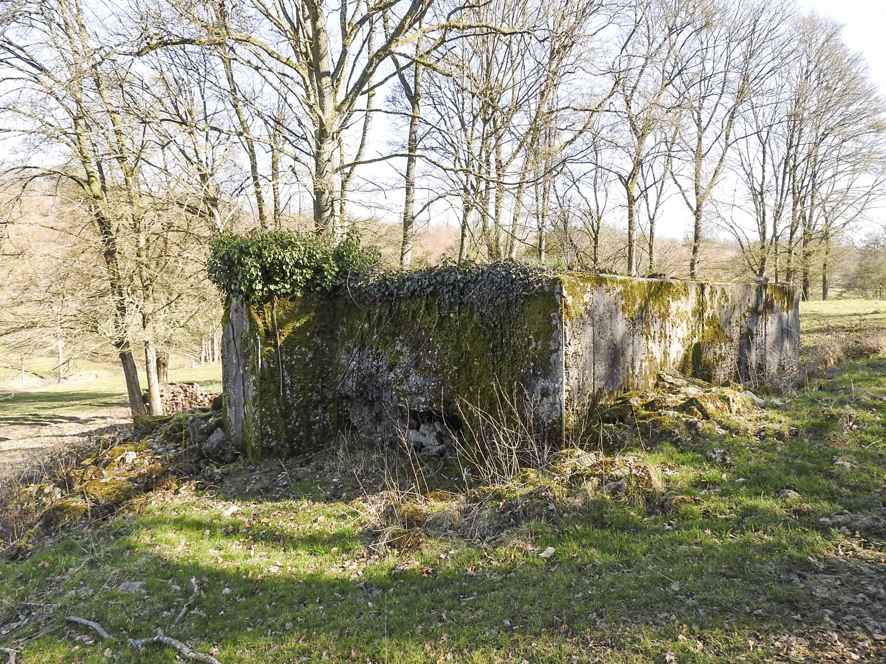 Ligne Maginot - MUEHLENBACH 6 - (Blockhaus pour canon) - La façade de tir vers le vallon du Muehlenbach.