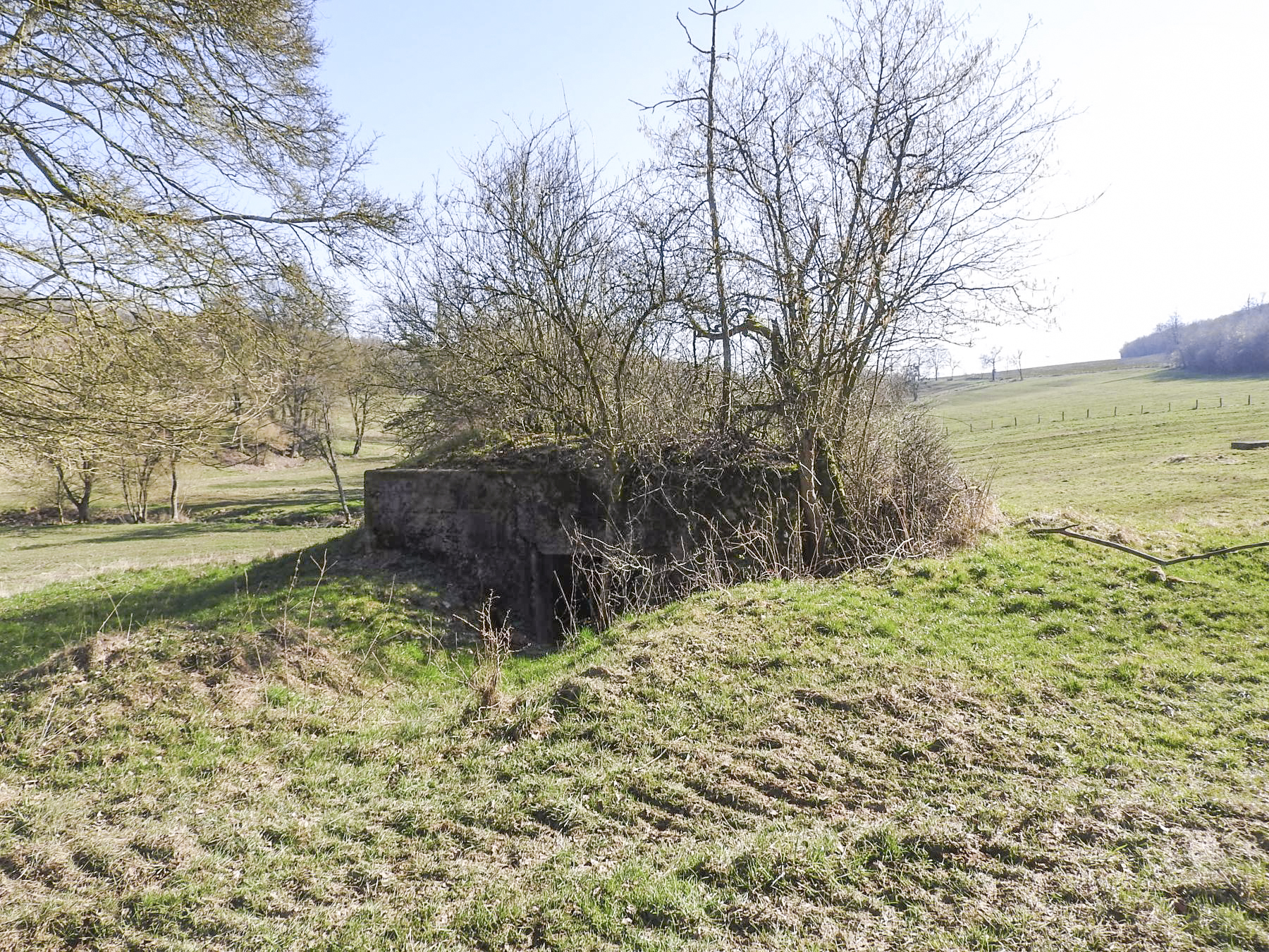 Ligne Maginot - MUEHLENBACH 7 - (Blockhaus pour canon) - L'entrée du blockhaus.