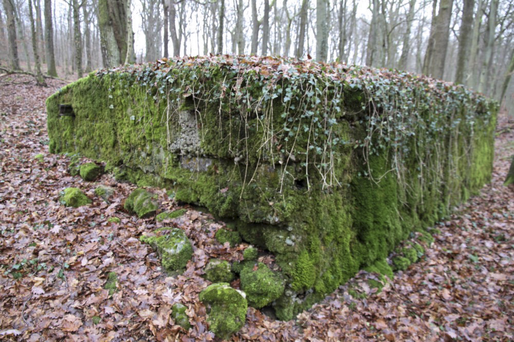 Ligne Maginot - ROCKERTEN (QUARTIER BOIS D'OTTONVILLE - III/161°RIF) - (PC de Quartier) - 