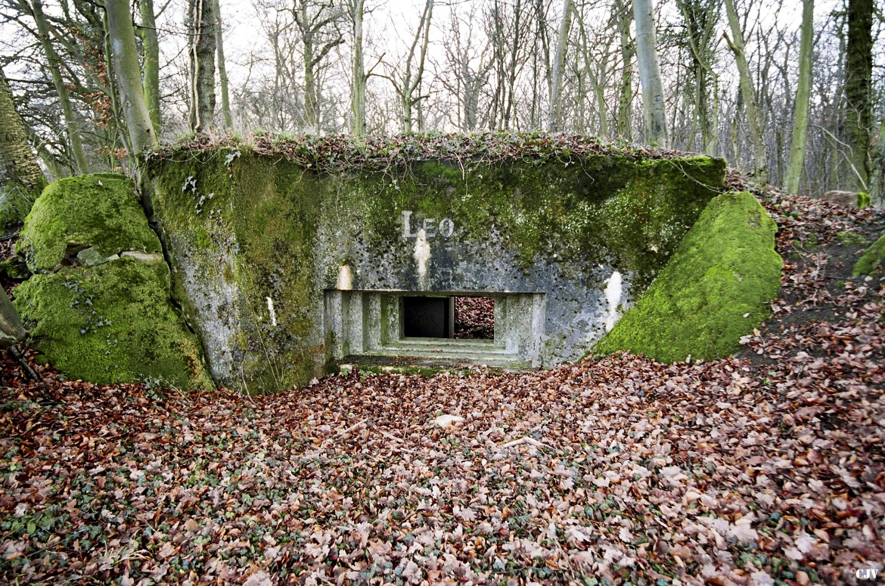 Ligne Maginot - STEINRITZ EST - LEO - (Blockhaus pour canon) - 