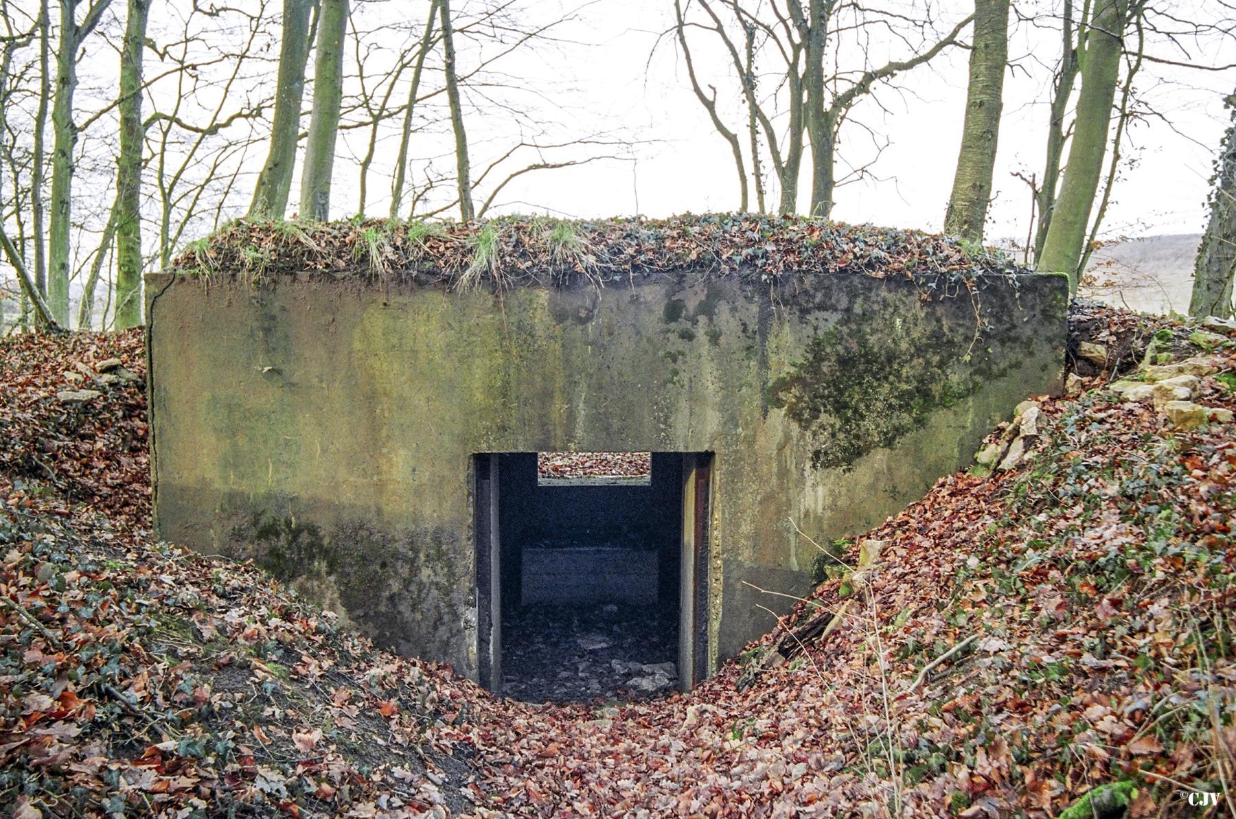Ligne Maginot - STEINRITZ EST - LEO - (Blockhaus pour canon) - 