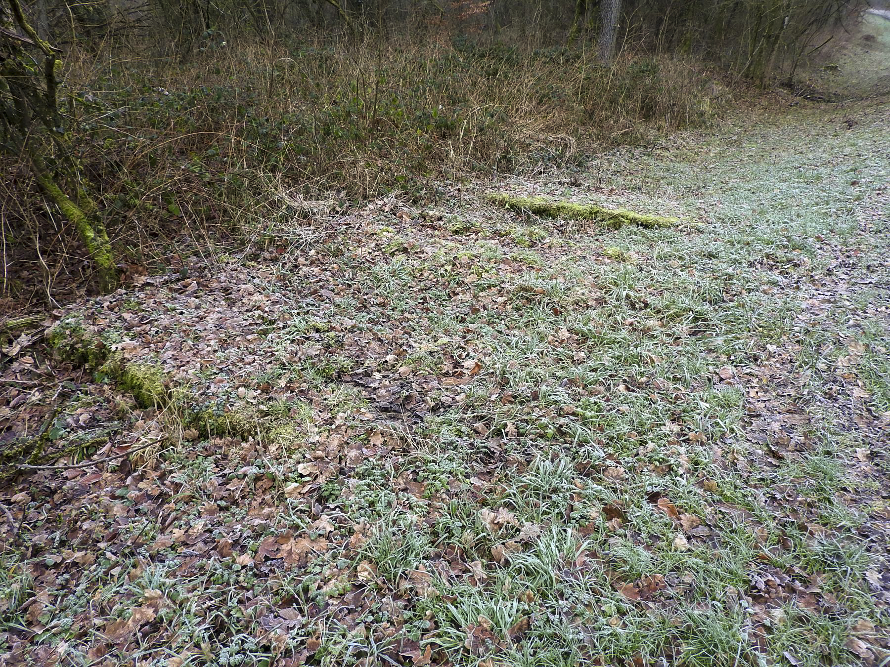 Ligne Maginot - 140 - (Barrage de Route) - Les vestiges de la barrière au bord de la route.