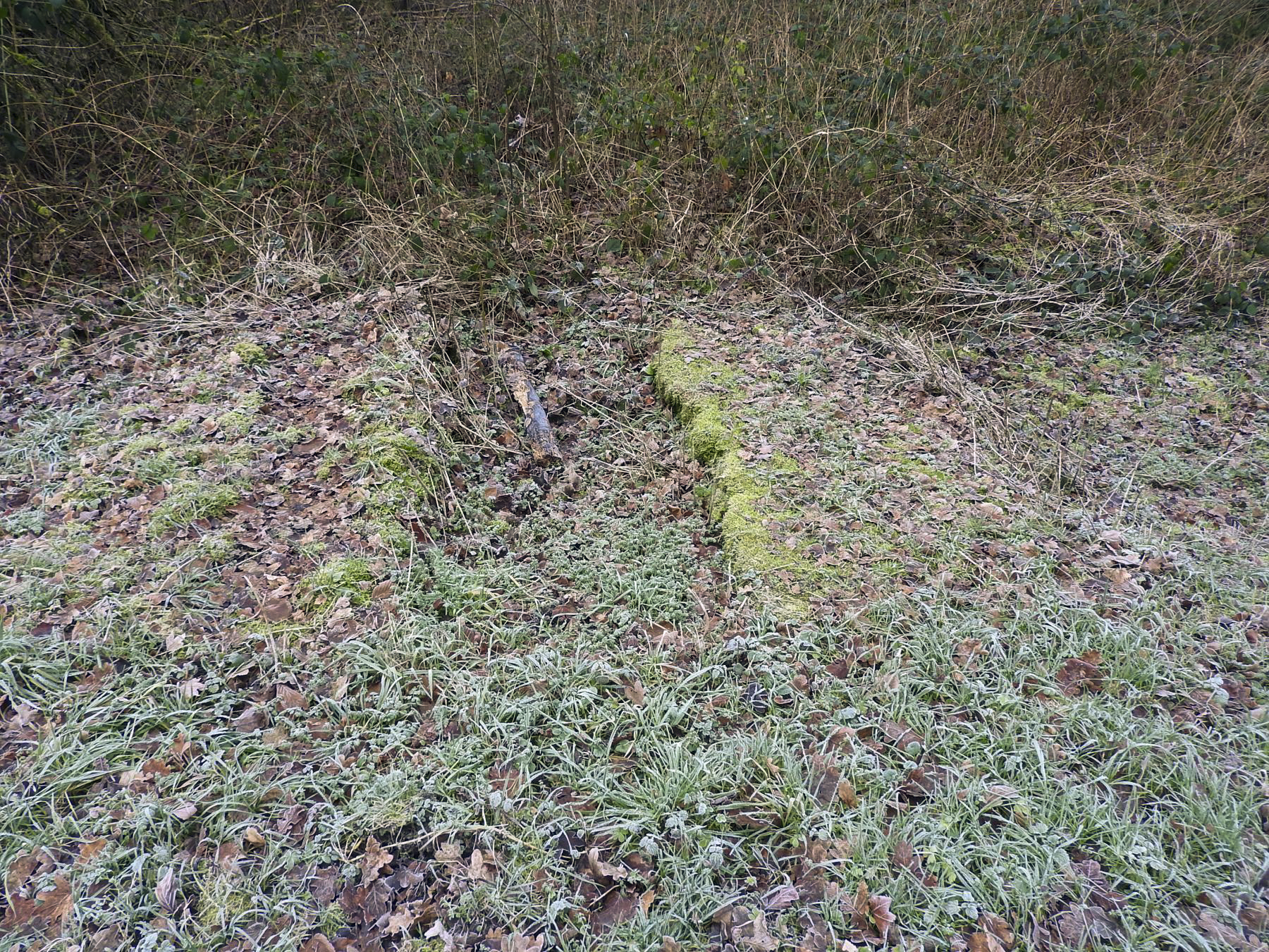 Ligne Maginot - 140 - (Barrage de Route) - Les vestiges de la barrière au bord de la route.