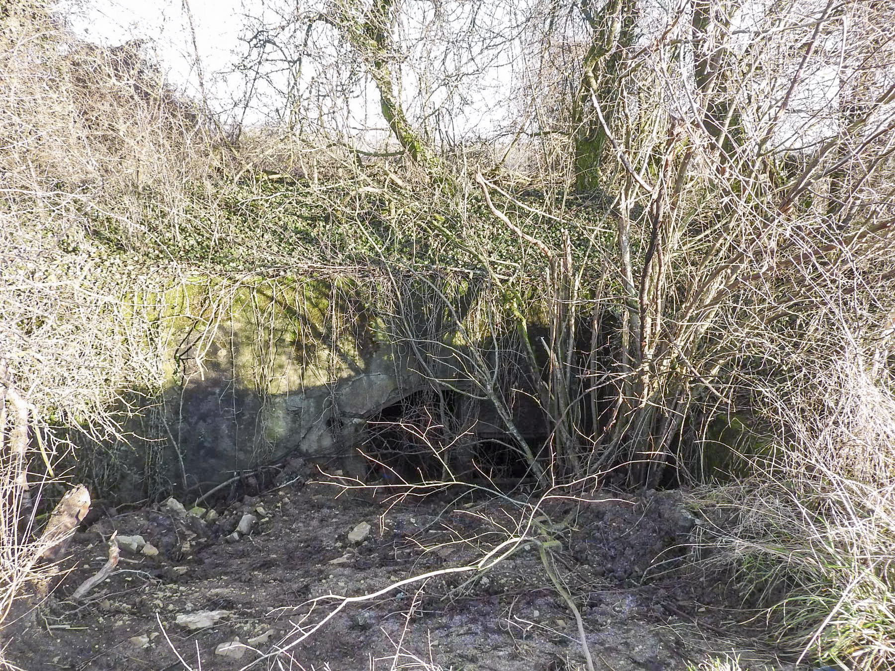 Ligne Maginot - KIRCHENWALD (7° CIE - II/160° RIF) - (PC de Sous-Quartier) - La façade du PC - STENGER Mathieu