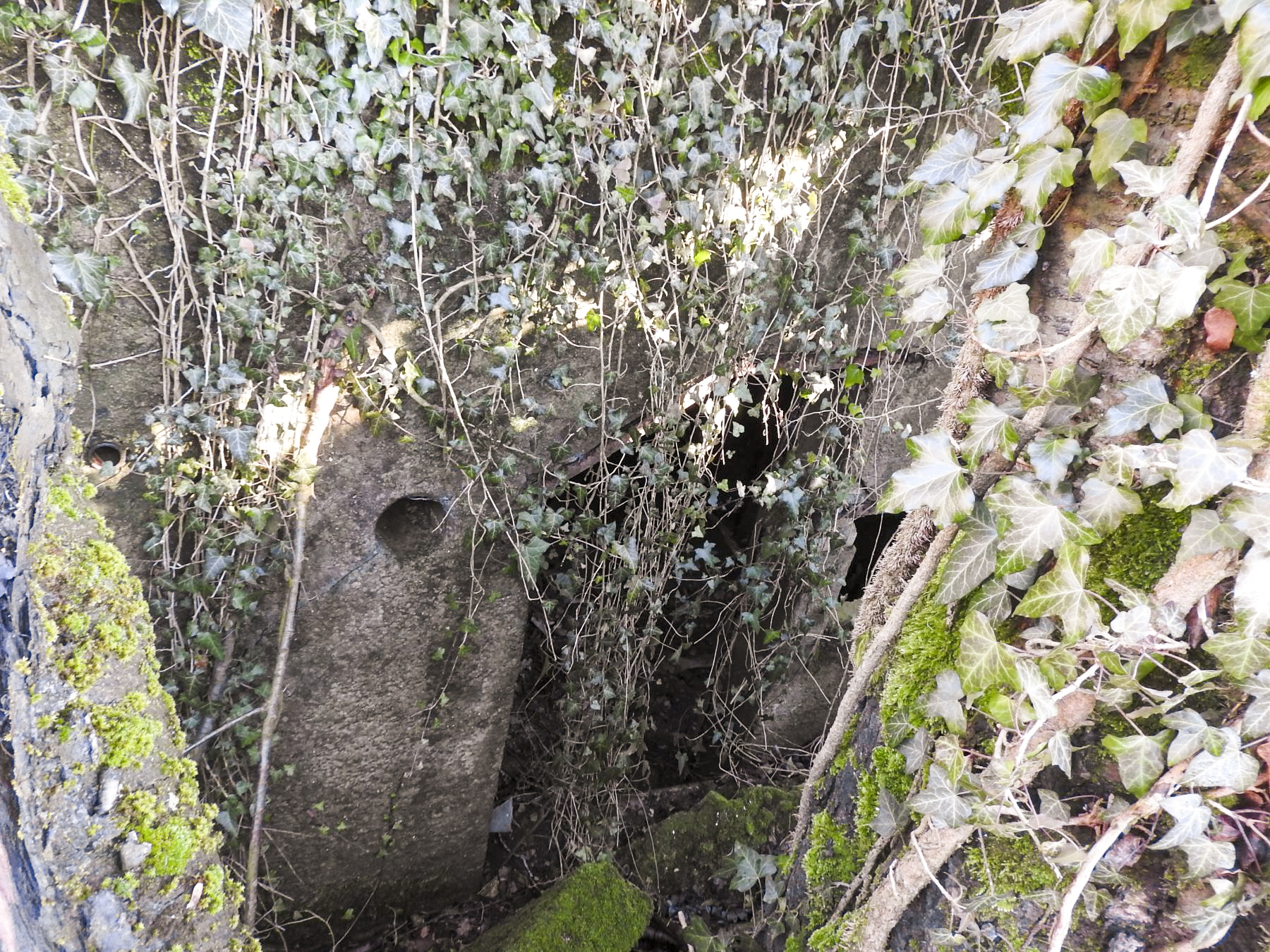 Ligne Maginot - KIRCHENWALD (7° CIE - II/160° RIF) - (PC de Sous-Quartier) - Une deuxième alvéole. - STENGER Mathieu