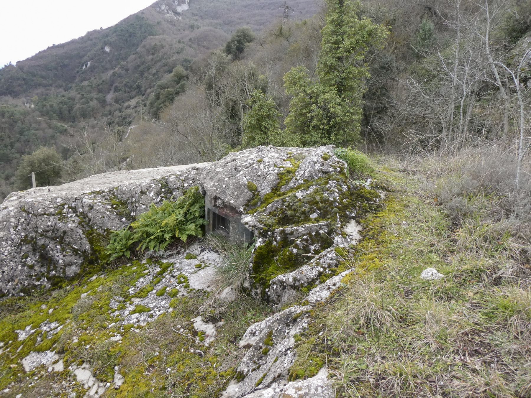 Ligne Maginot - CASTILLON (CN) - EO8 - (Ouvrage d'artillerie) - Bloc 5
Cloche JM - ELLENA Daniel - CUNY Philippe