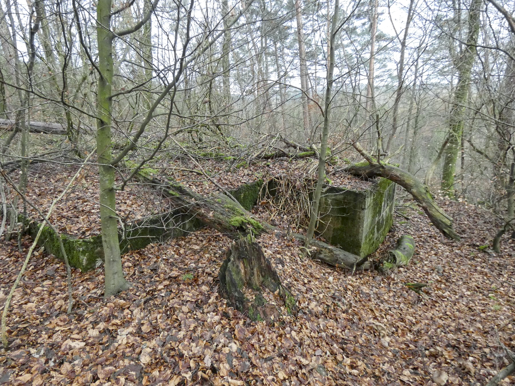 Ligne Maginot - GROSSLING (II° 59° RAMF) - (PC de Quartier) - Une vue d'ensemble du PC depuis le chemin. - STENGER Mathieu