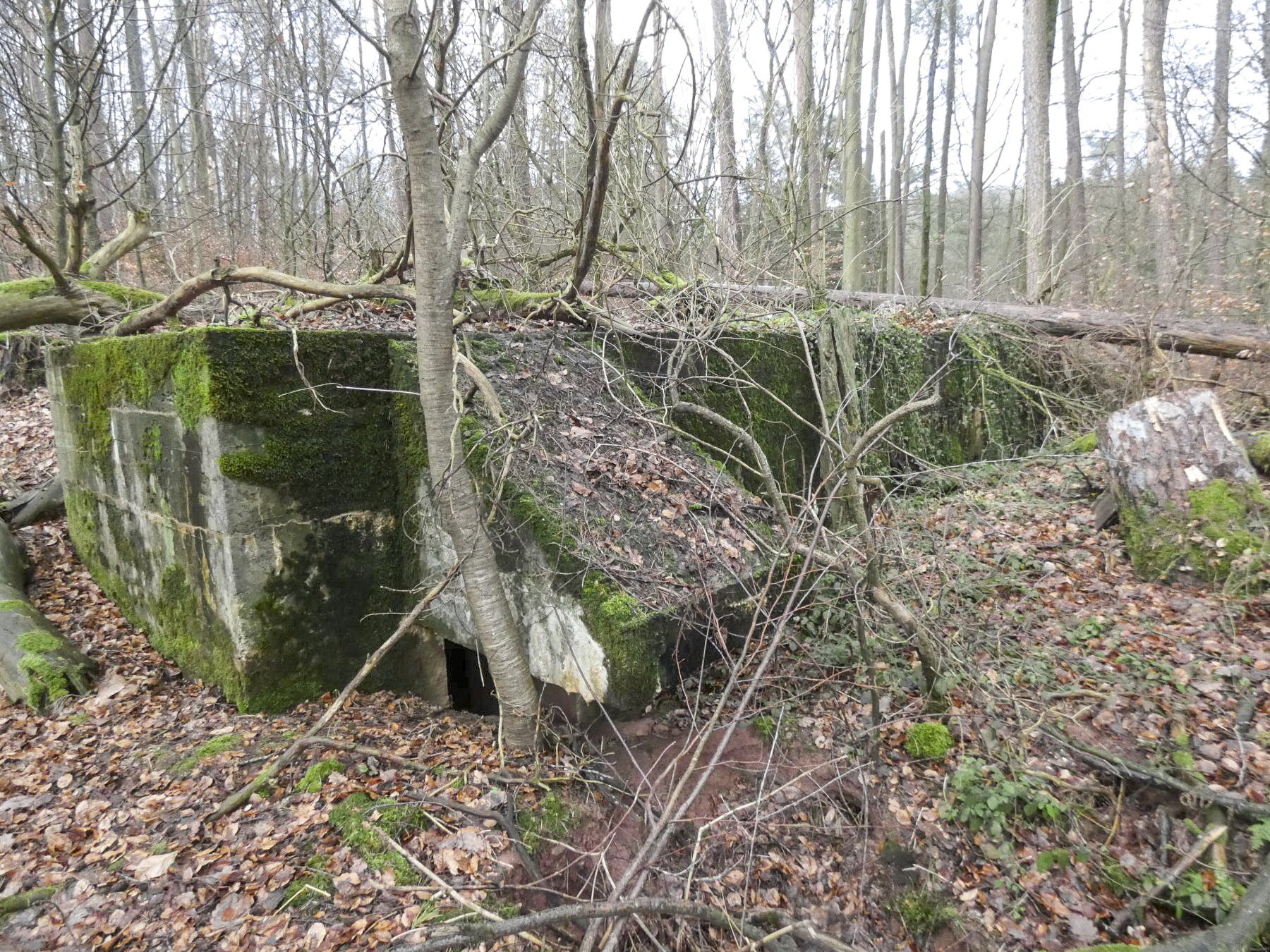 Ligne Maginot - GROSSLING (II° 59° RAMF) - (PC de Quartier) - L'entrée de gauche est presque remblayée. - STENGER Mathieu
