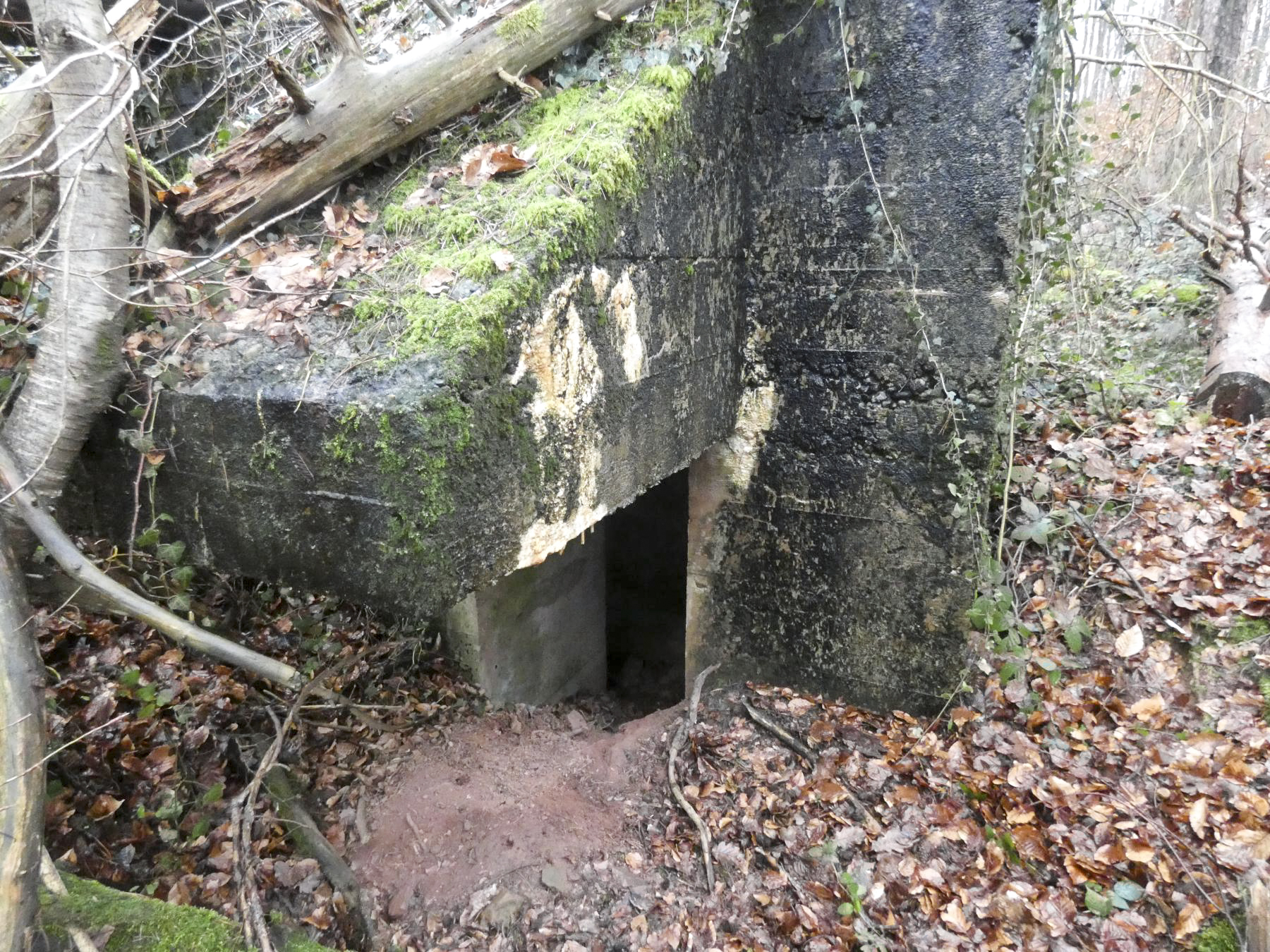 Ligne Maginot - GROSSLING (II° 59° RAMF) - (PC de Quartier) - L'entrée de droite est plus accessible. - STENGER Mathieu