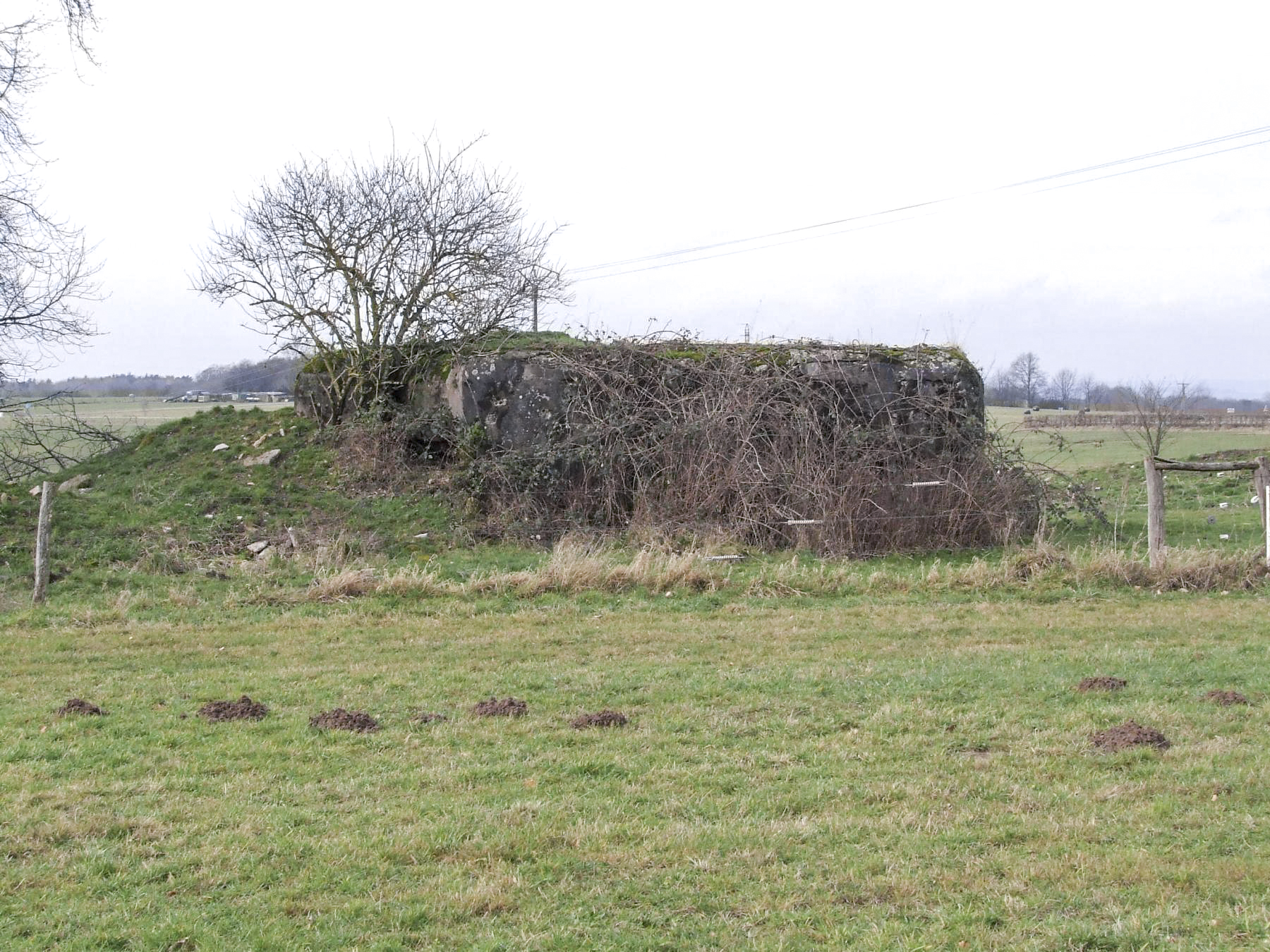 Ligne Maginot - FERME DE FREUDENBERG 1 - (Blockhaus pour arme infanterie) - L'arrière du blockhaus vu depuis la lisière du bois. Il semble remblayé. - STENGER Mathieu