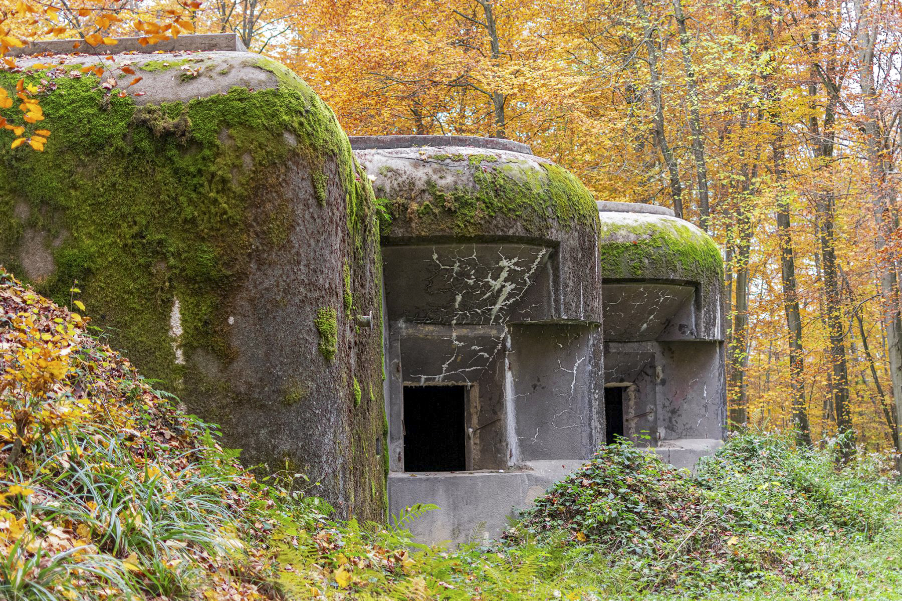 Ligne Maginot - 110 - BETTLACH - (Casemate d'artillerie) -  - David Palmer