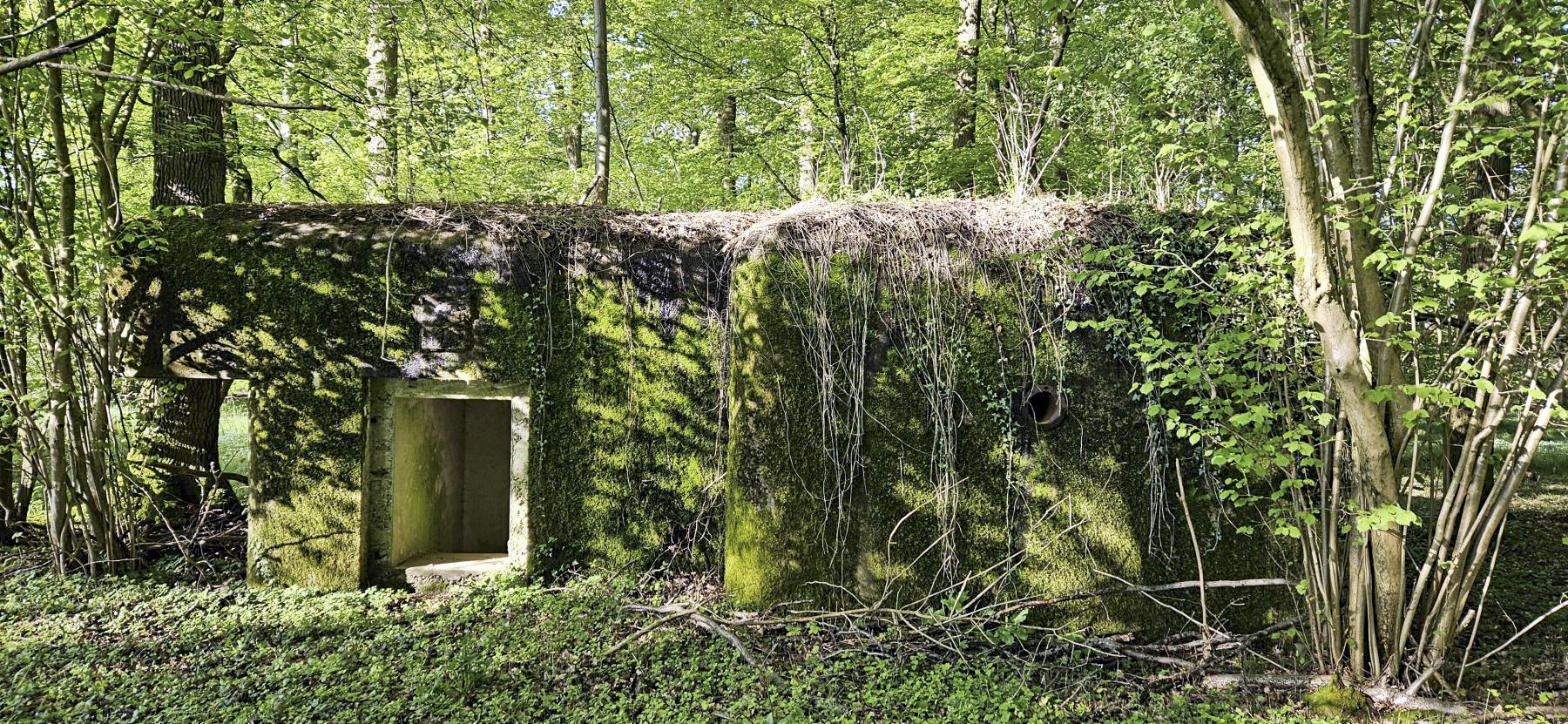 Ligne Maginot - SELTZBACH 1 - (Blockhaus pour arme infanterie) -  - ELLENA Daniel-CUNY Philippe