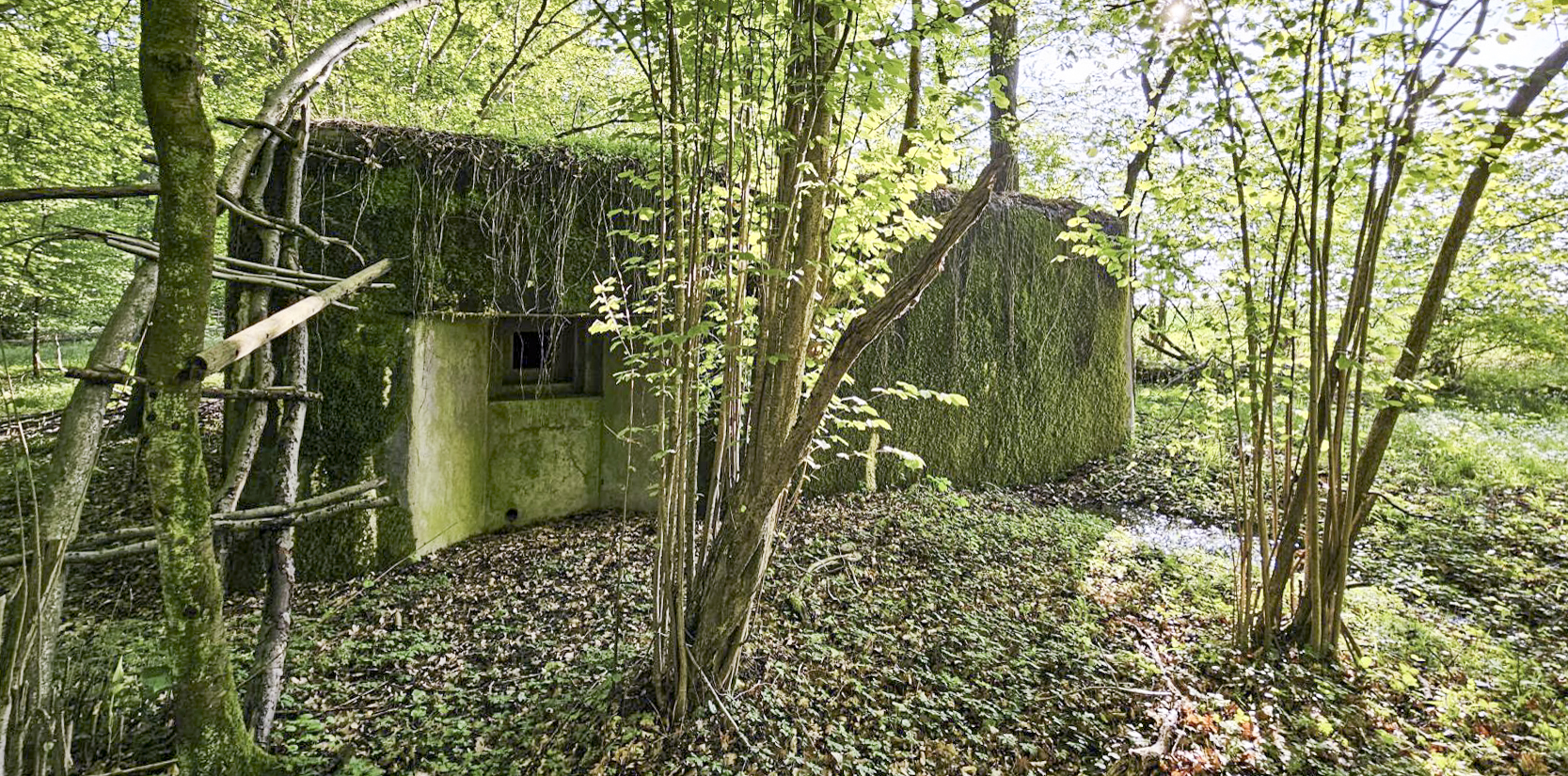 Ligne Maginot - SELTZBACH 1 - (Blockhaus pour arme infanterie) -  - ELLENA Daniel-CUNY Philippe