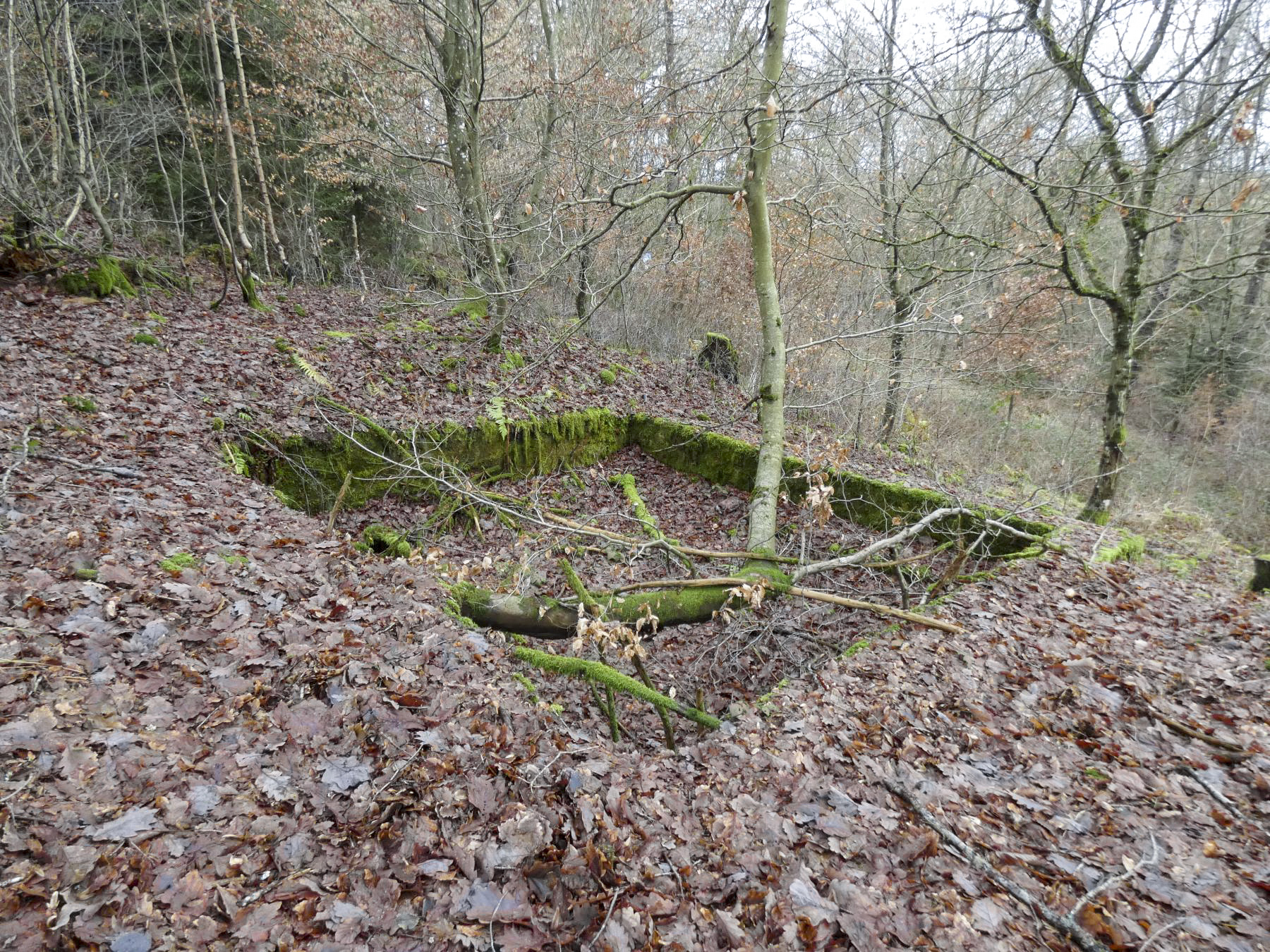 Ligne Maginot - HOLZSCHLAG 2 - (Cuve pour canon) - Une vue d'ensemble de la cuve. - STENGER Mathieu