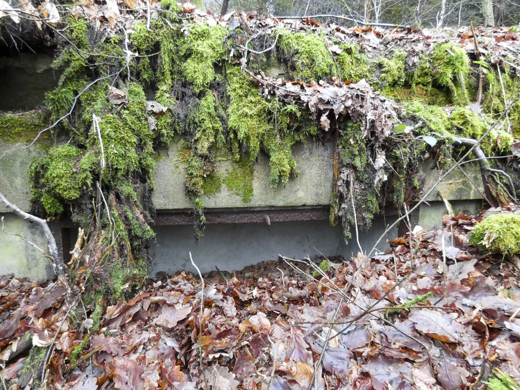Ligne Maginot - HOLZSCHLAG 2 - (Cuve pour canon) - La niche à munitions en partie comblée. - STENGER Mathieu