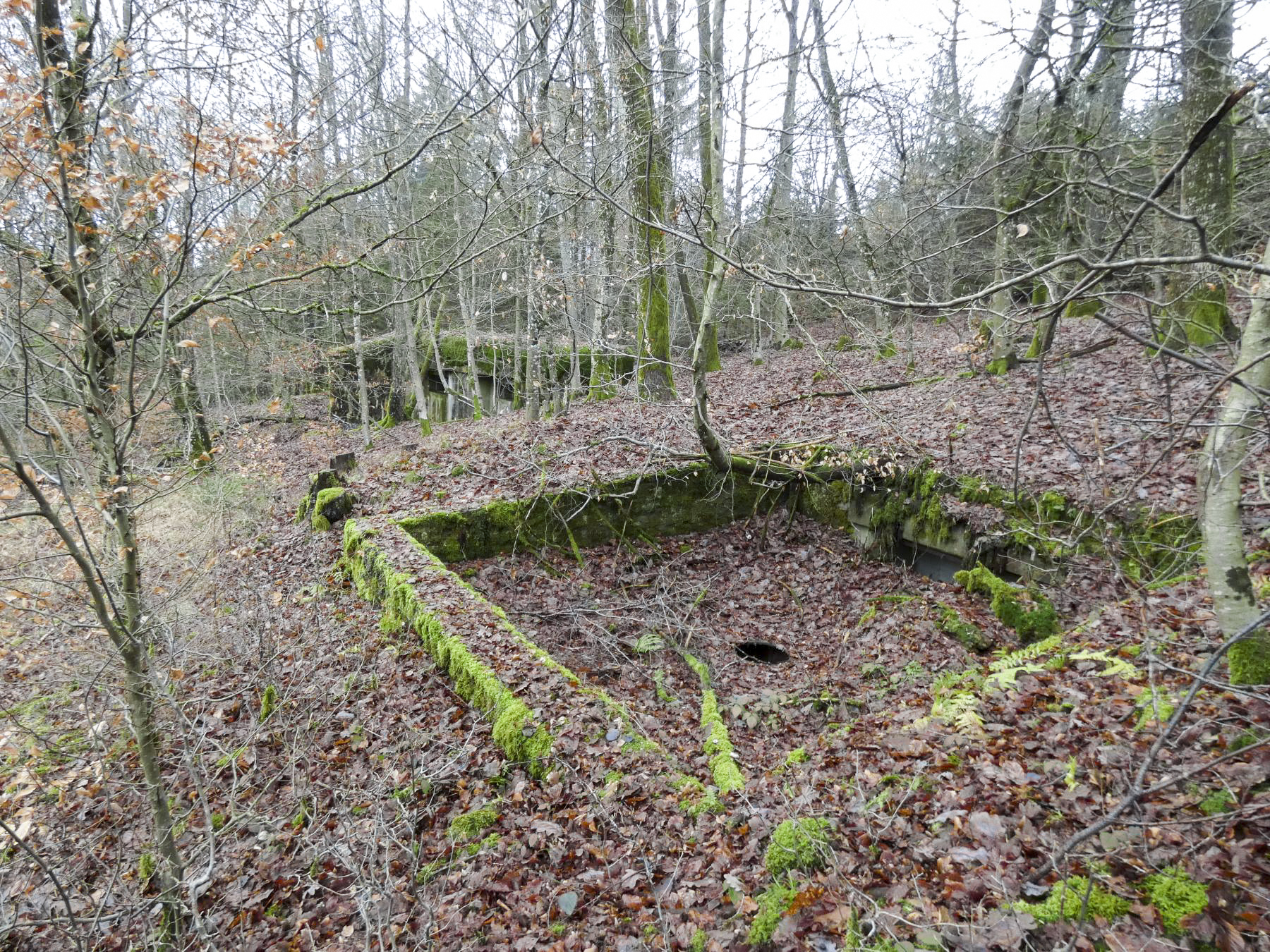 Ligne Maginot - HOLZSCHLAG 2 - (Cuve pour canon) - La cuve et le blockhaus anti-char. - STENGER Mathieu