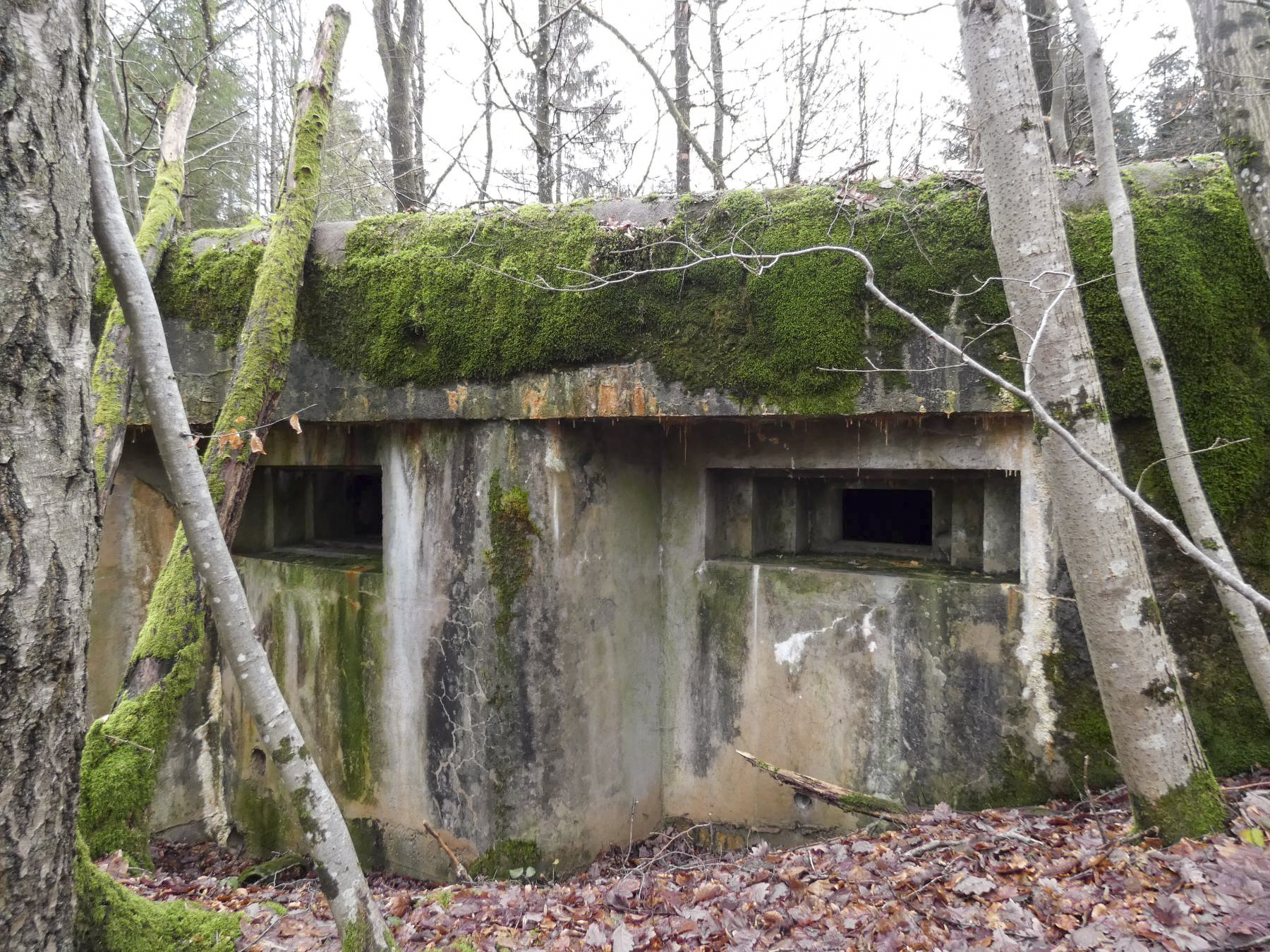 Ligne Maginot - HOLZSCHLAG 3 - (Blockhaus pour canon) - La façade de tir. - STENGER Mathieu