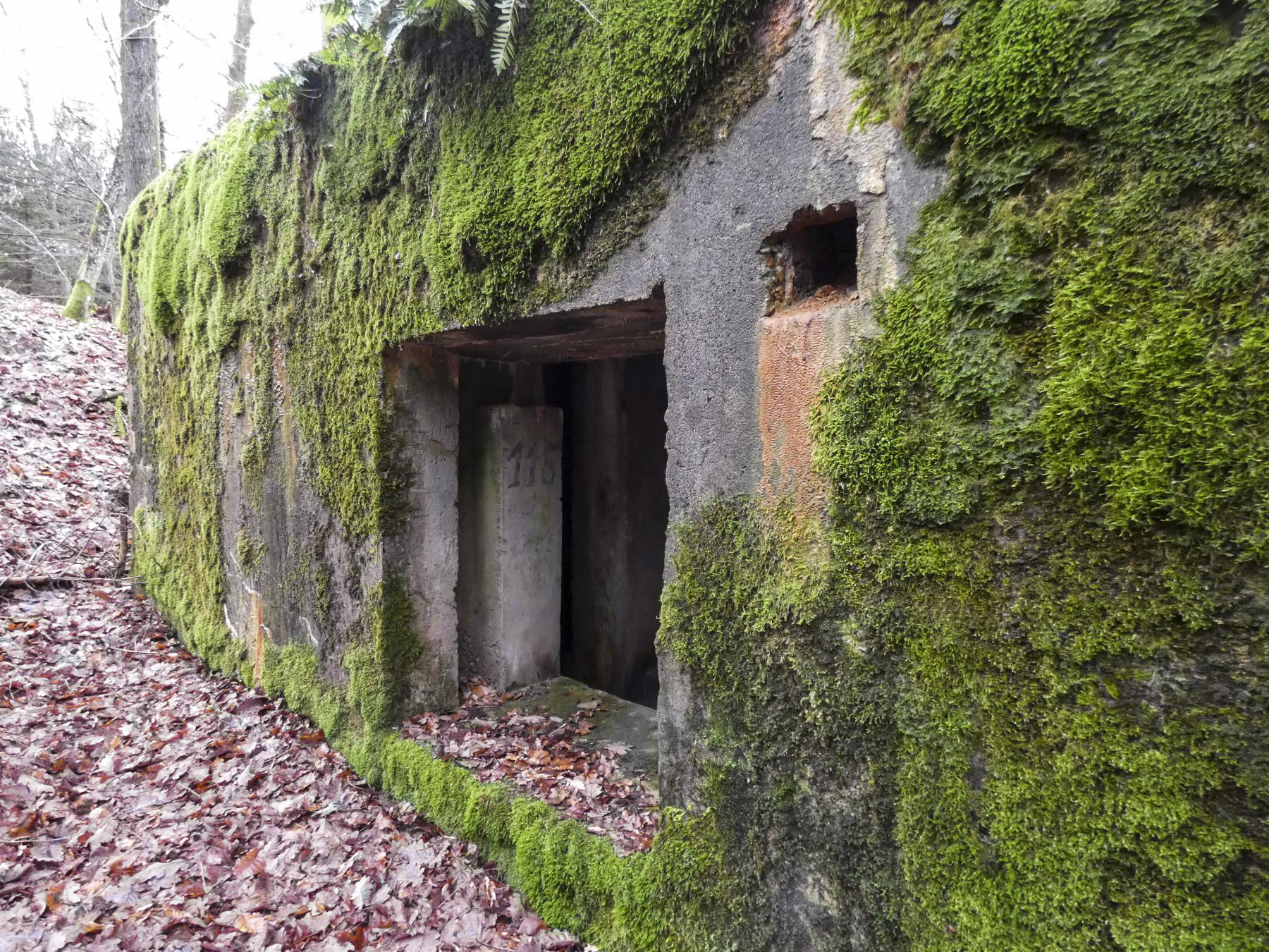 Ligne Maginot - HOLZSCHLAG 3 - (Blockhaus pour canon) - L'entrée du matériel. - STENGER Mathieu