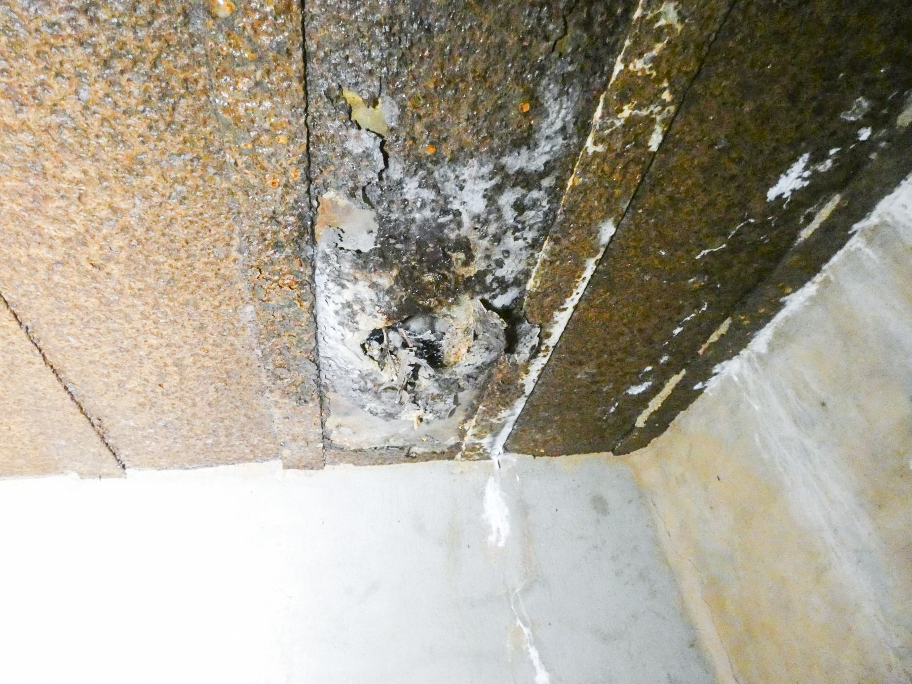 Ligne Maginot - HOLZSCHLAG 3 - (Blockhaus pour canon) - L'ouverture pour le passage d'un périscope. - STENGER Mathieu