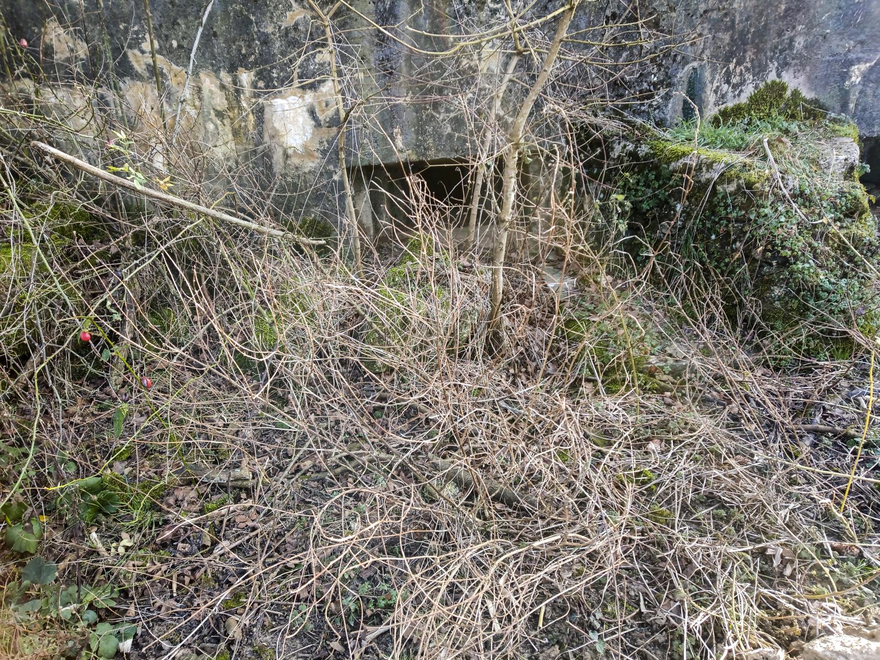 Ligne Maginot - 54 - VELOSNES OUEST - (Blockhaus pour arme infanterie) -  - Marc Fossoul