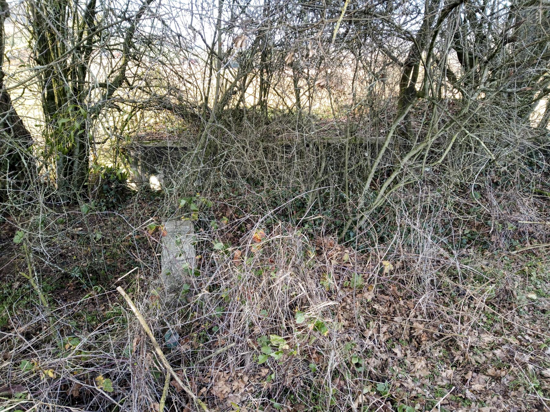 Ligne Maginot - 54 - VELOSNES OUEST - (Blockhaus pour arme infanterie) - Vers l'entrée - Marc Fossoul
