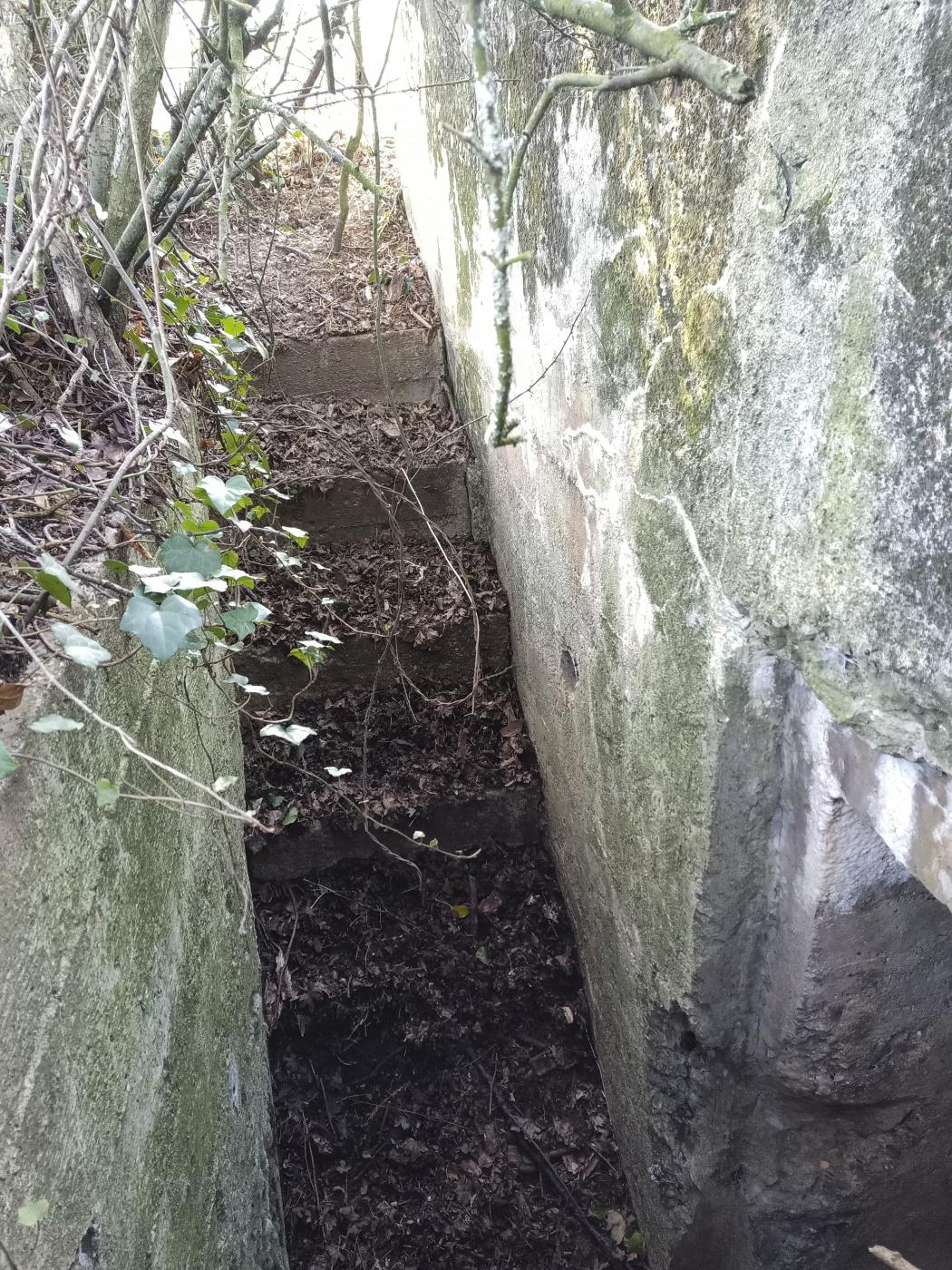Ligne Maginot - 54 - VELOSNES OUEST - (Blockhaus pour arme infanterie) - Vers l'entrée - Marc Fossoul
