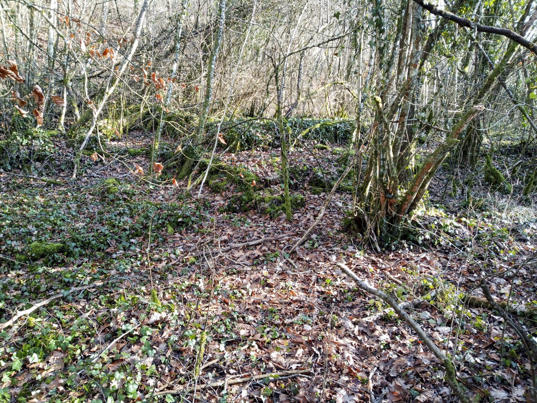 Ligne Maginot - VELOSNES - (Casernement) - Les restes du casernement - Marc Fossoul