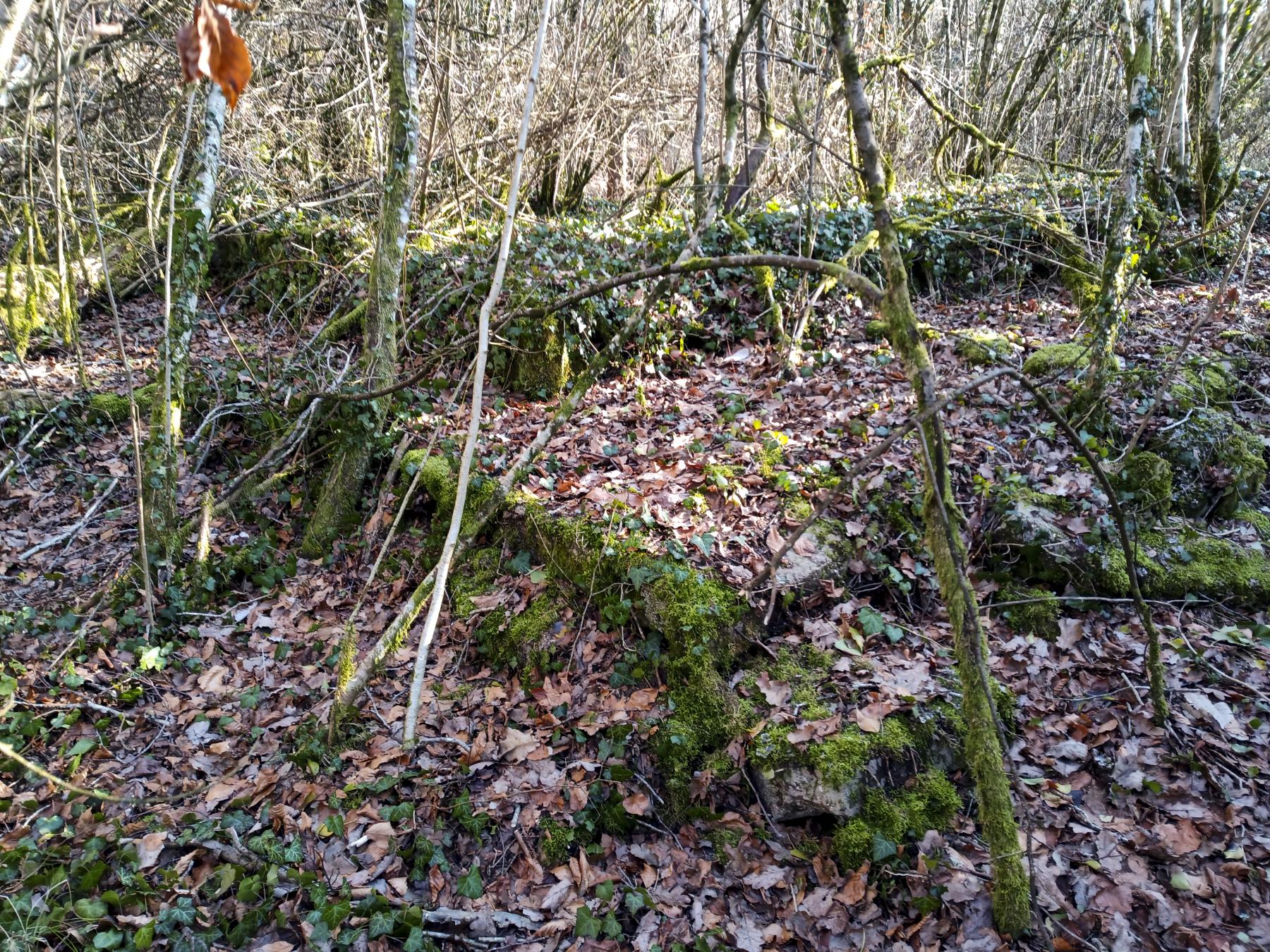 Ligne Maginot - VELOSNES - (Casernement) - Les restes du casernement - Marc Fossoul