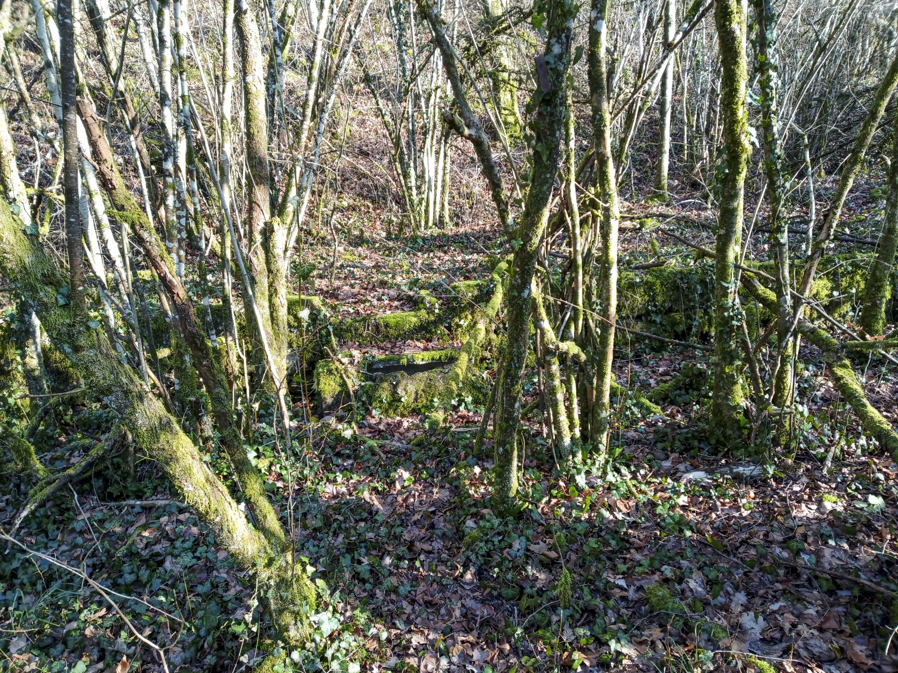 Ligne Maginot - VELOSNES - (Casernement) - Les restes du casernement - Marc Fossoul