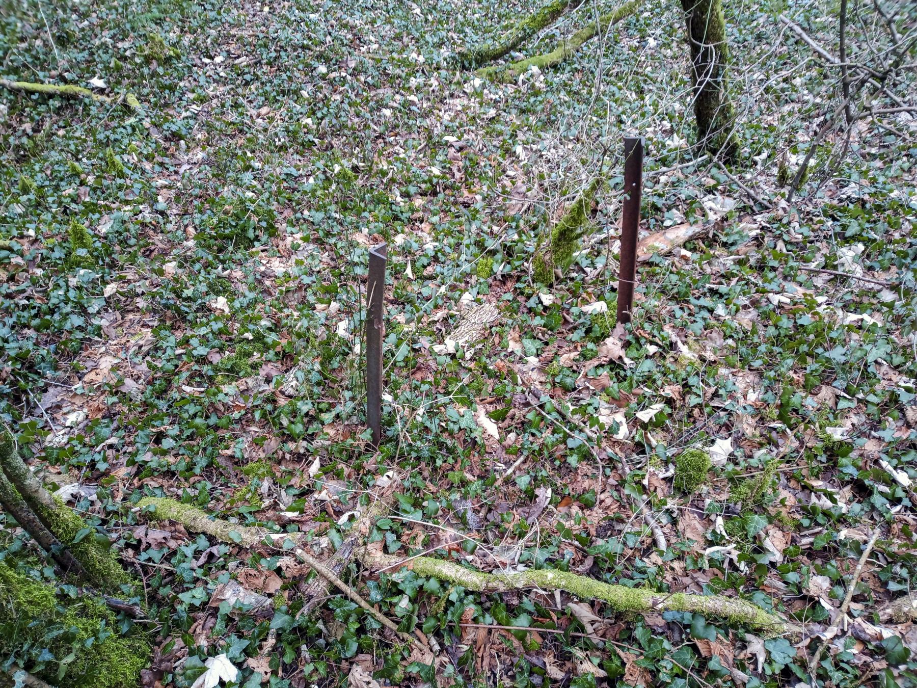Ligne Maginot - LES LONGUES-RAIES - (Observatoire d'infanterie) - La seule chose tangible - Marc Fossoul