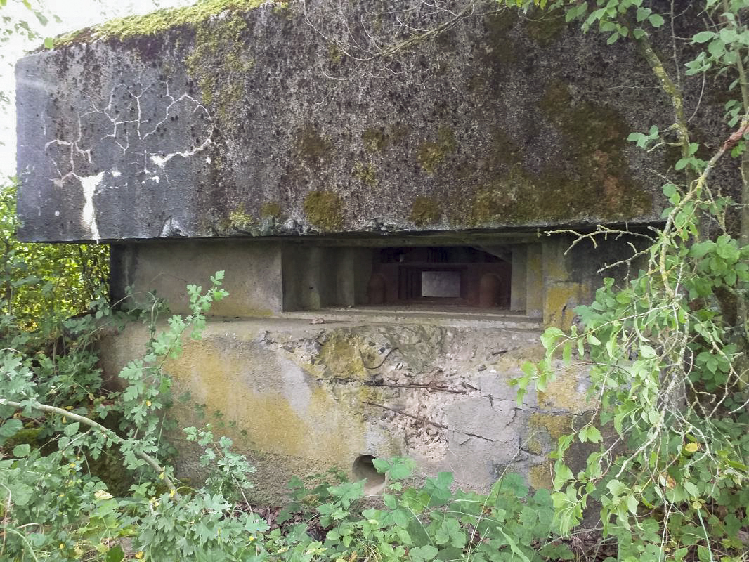 Ligne Maginot - KOHLFELD - (Blockhaus pour canon) - Créneau AC 25 - Gregory Fuchs
