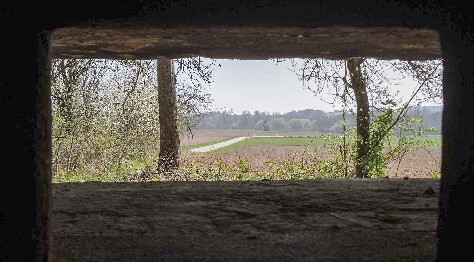 Ligne Maginot - KOHLFELD - (Blockhaus pour canon) - Direction de tir du canon balayant la route D76 à la sortie Sud-Est d'Hunspach  - Baptiste GAUDIN