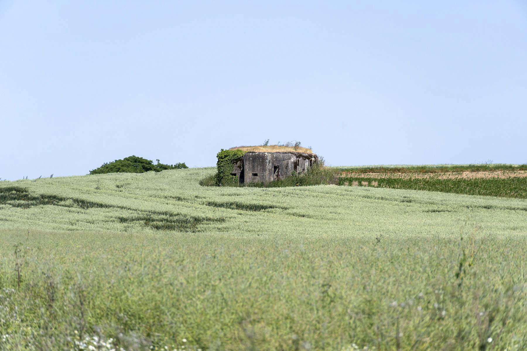 Ligne Maginot - BETTELSTOCK - (Blockhaus pour canon) -  - David Palmer