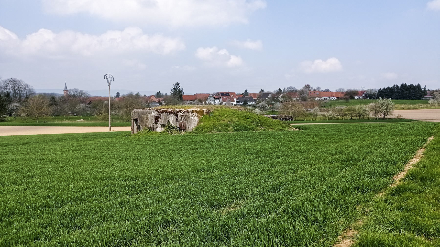 Ligne Maginot - BETTELSTOCK - (Blockhaus pour canon) - Vue sur la façade arrière, au second plan Hunspach