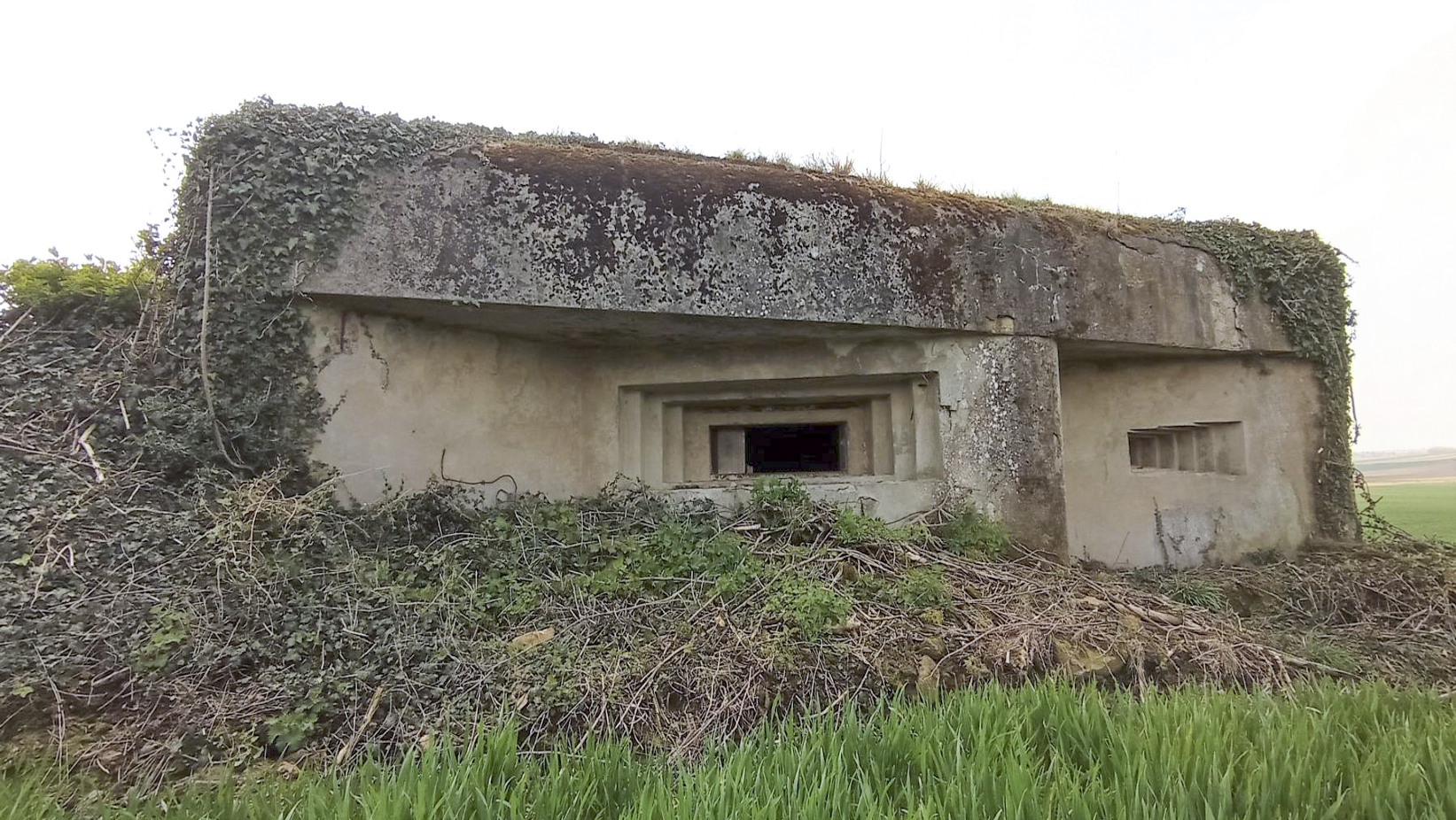 Ligne Maginot - BETTELSTOCK - (Blockhaus pour canon) - Façade de la chambre de tir