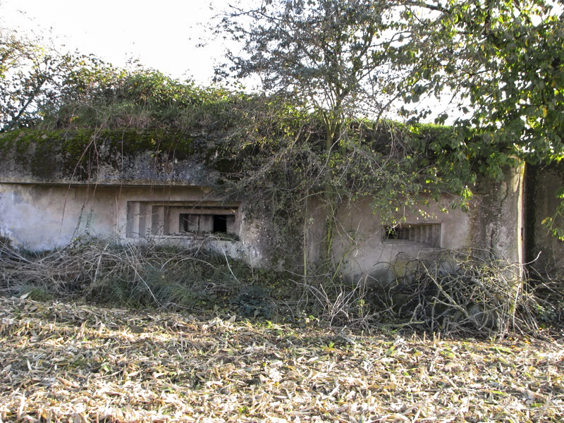 Ligne Maginot - BETTELSTOCK (Blockhaus pour canon) - Façade de la chambre de tir