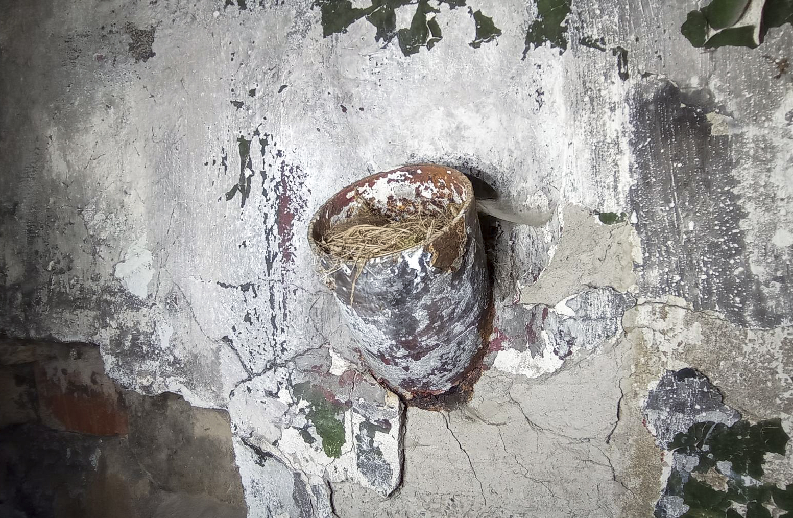 Ligne Maginot - BETTELSTOCK - (Blockhaus pour canon) - Goulotte à grenade occupée par un habitant