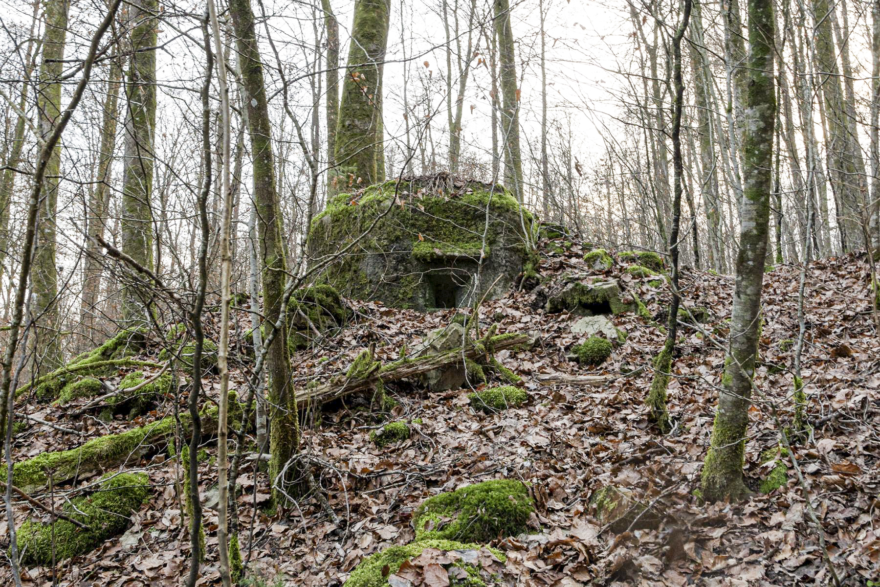 Ligne Maginot - FM17 - VOEGELSMATT 8 - (Blockhaus pour arme infanterie) -  - David Palmer