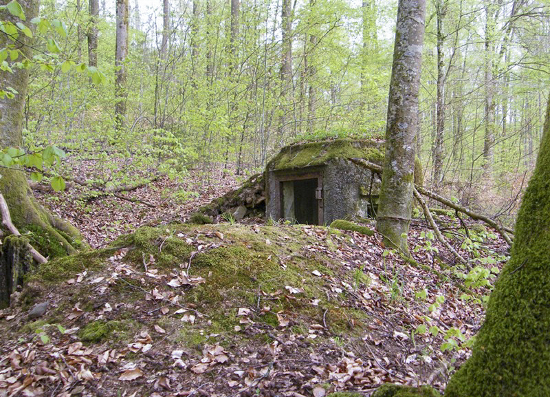 Ligne Maginot - FM17 - VOEGELSMATT 8 - (Blockhaus pour arme infanterie) - 