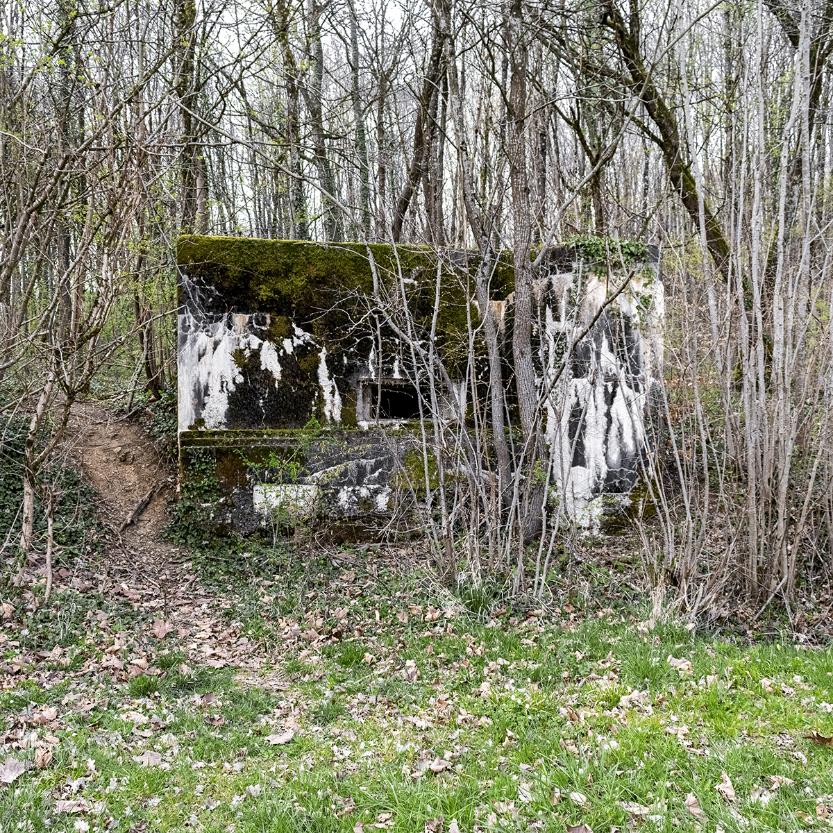 Ligne Maginot - DB305 - GRAND BOIS - (Blockhaus pour canon) -  - David Palmer