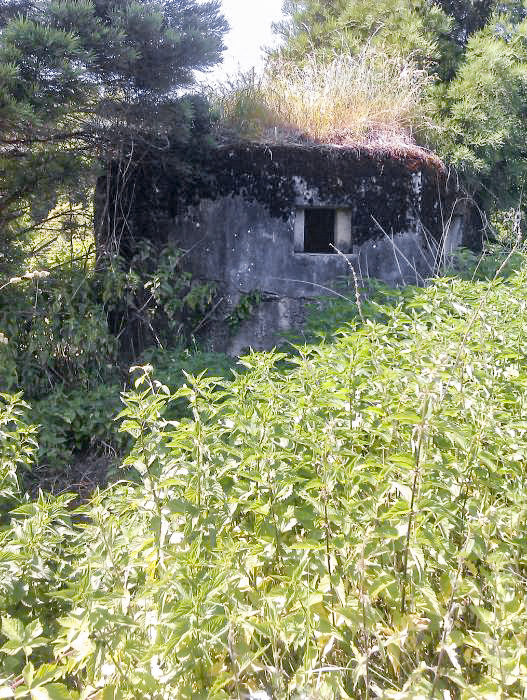Ligne Maginot - M31 - ROUTE DE LA VERRERIE 1 - (Blockhaus pour arme infanterie) - 