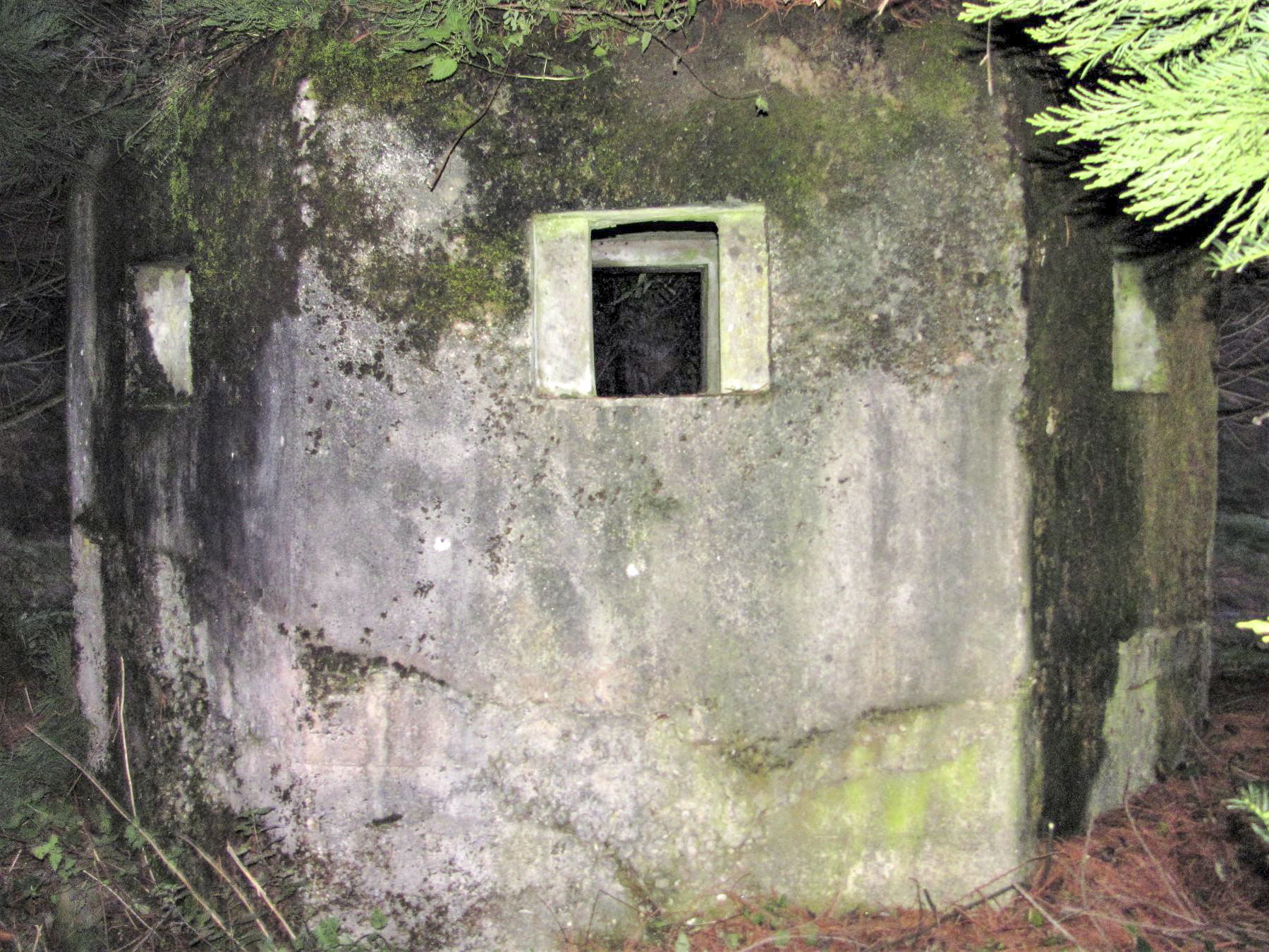 Ligne Maginot - M31 - ROUTE DE LA VERRERIE 1 - (Blockhaus pour arme infanterie) - Créneaux frontaux 