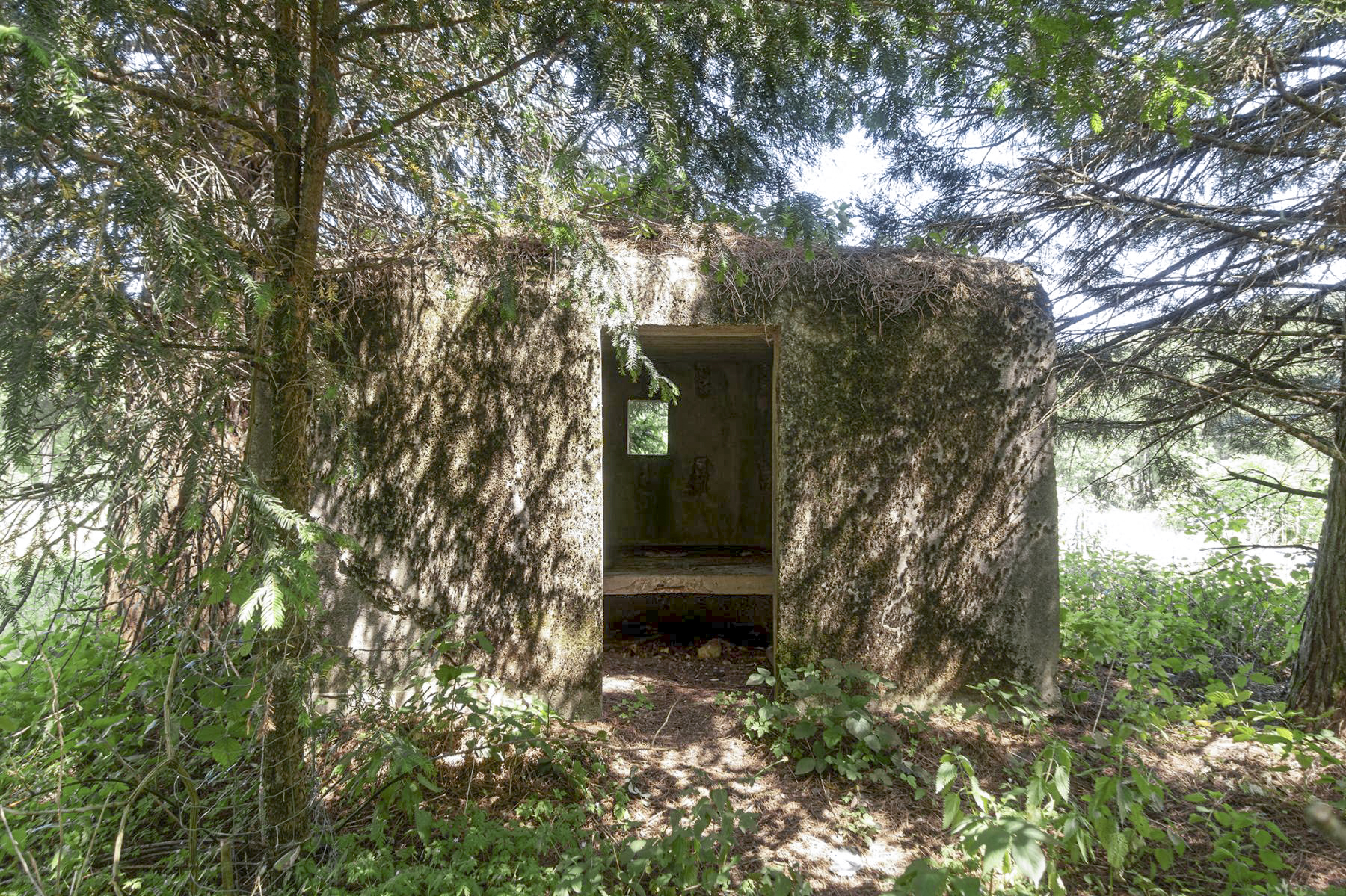 Ligne Maginot - M31 - ROUTE DE LA VERRERIE 1 - (Blockhaus pour arme infanterie) -  - David Palmer