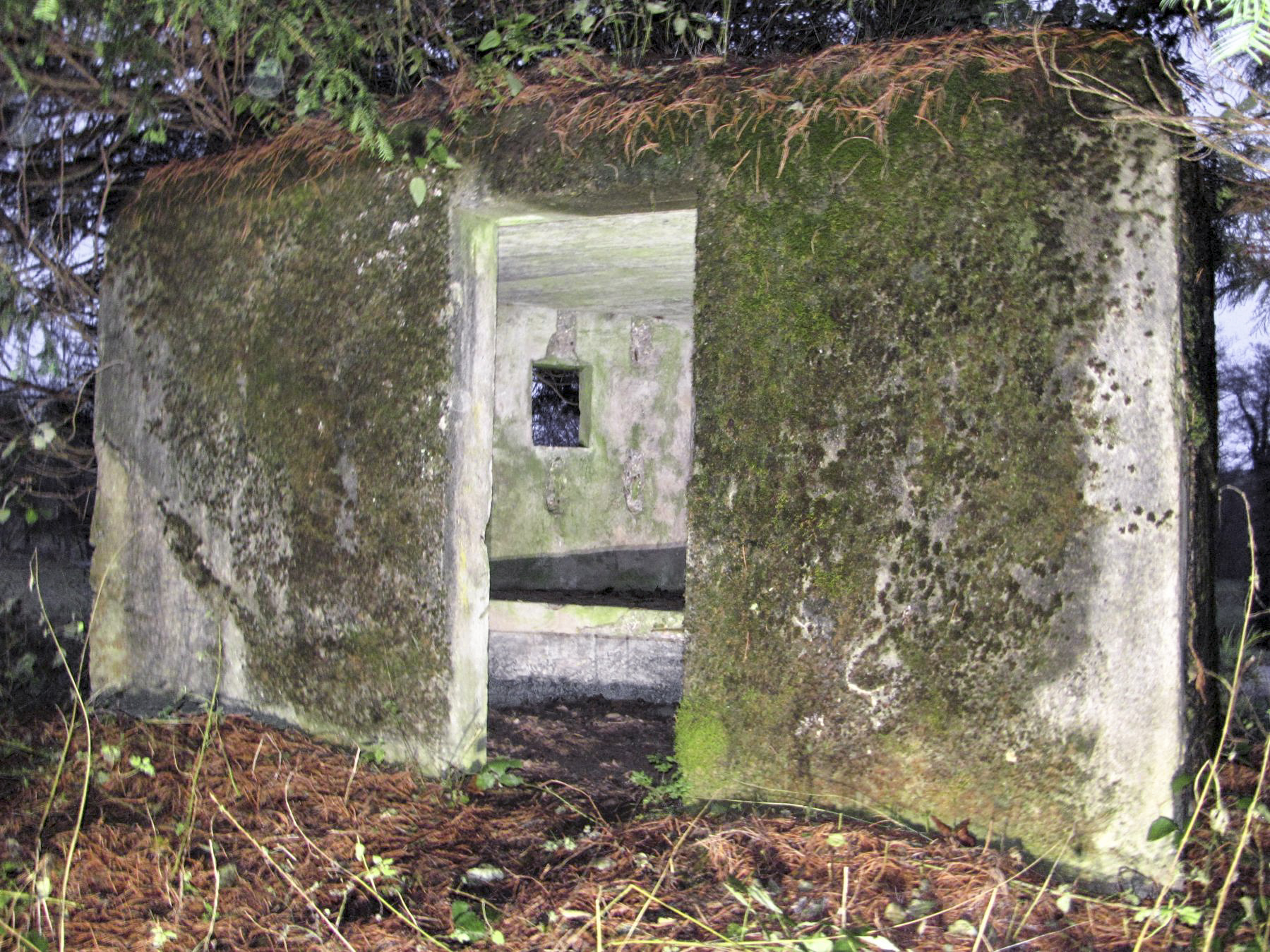 Ligne Maginot - M31 - ROUTE DE LA VERRERIE 1 - (Blockhaus pour arme infanterie) - L'entrée 
